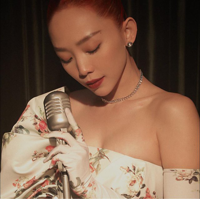 Ca sĩ Việt đỗ 3 trường Đại học, du học Mỹ nghề bác sĩ thì bỏ ngang bị mẹ “từ mặt” cả thập kỷ- Ảnh 1.