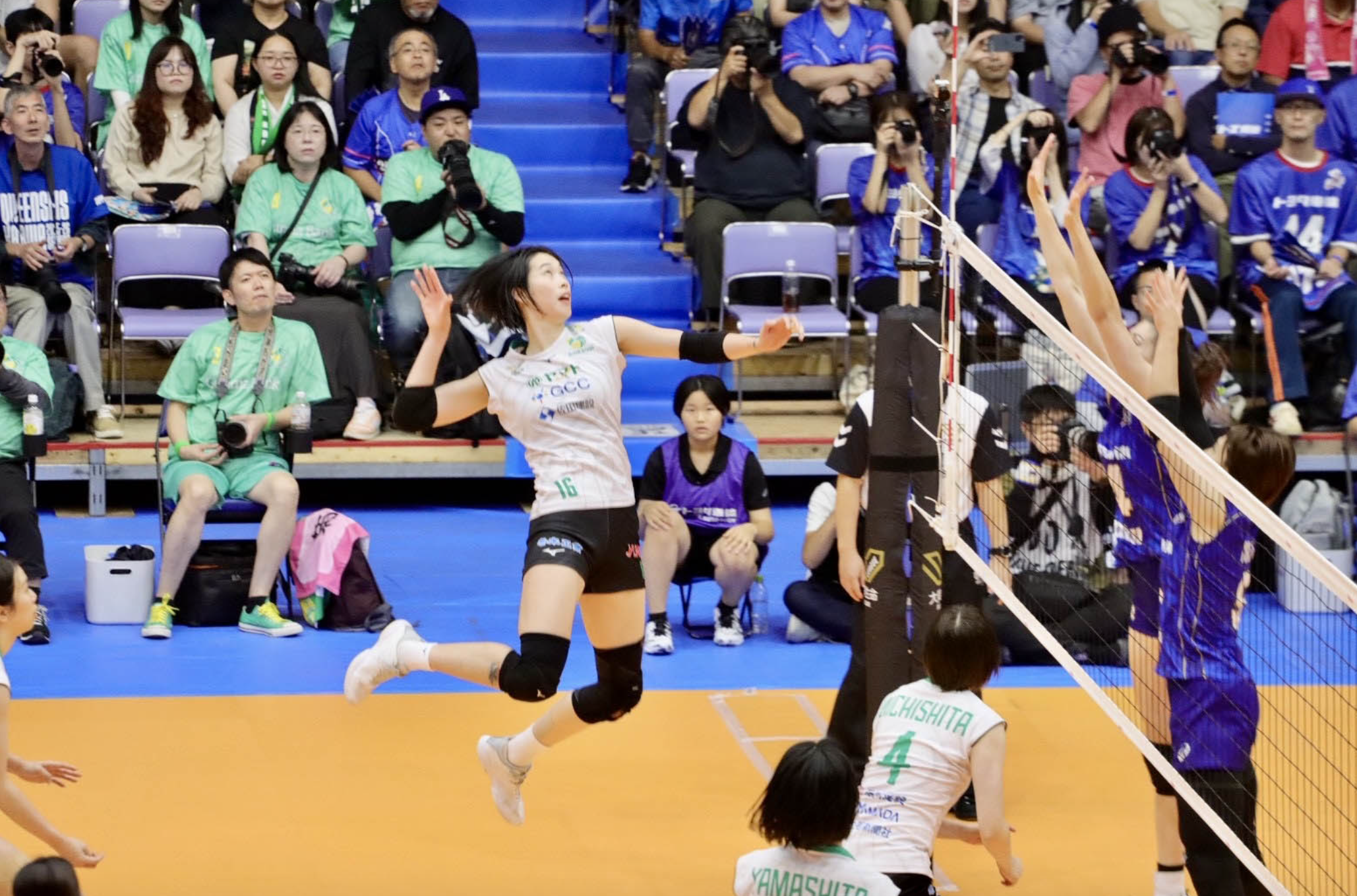 Trần Thị Thanh Thúy tỏa sáng tại giải bóng chuyền Nhật Bản - Ảnh 1.