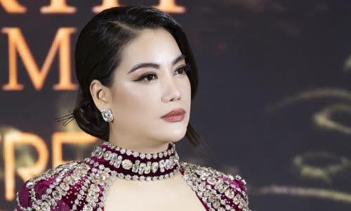 Trương Ngọc Ánh từng giữ chức vụ gì trước khi bị bắt?- Ảnh 4.