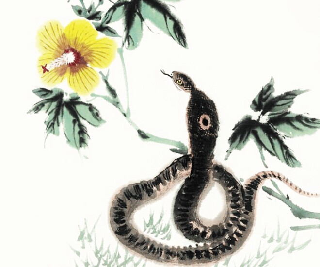 Từ ngày 22/10, 4 con giáp tài lộc tăng cao, tiền bạc đổ về từ tứ phía - 1