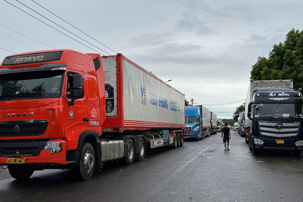 Vụ gần 2.000 container sầu riêng bị ùn ứ: Phòng kiểm nghiệm hoạt động lại - 1