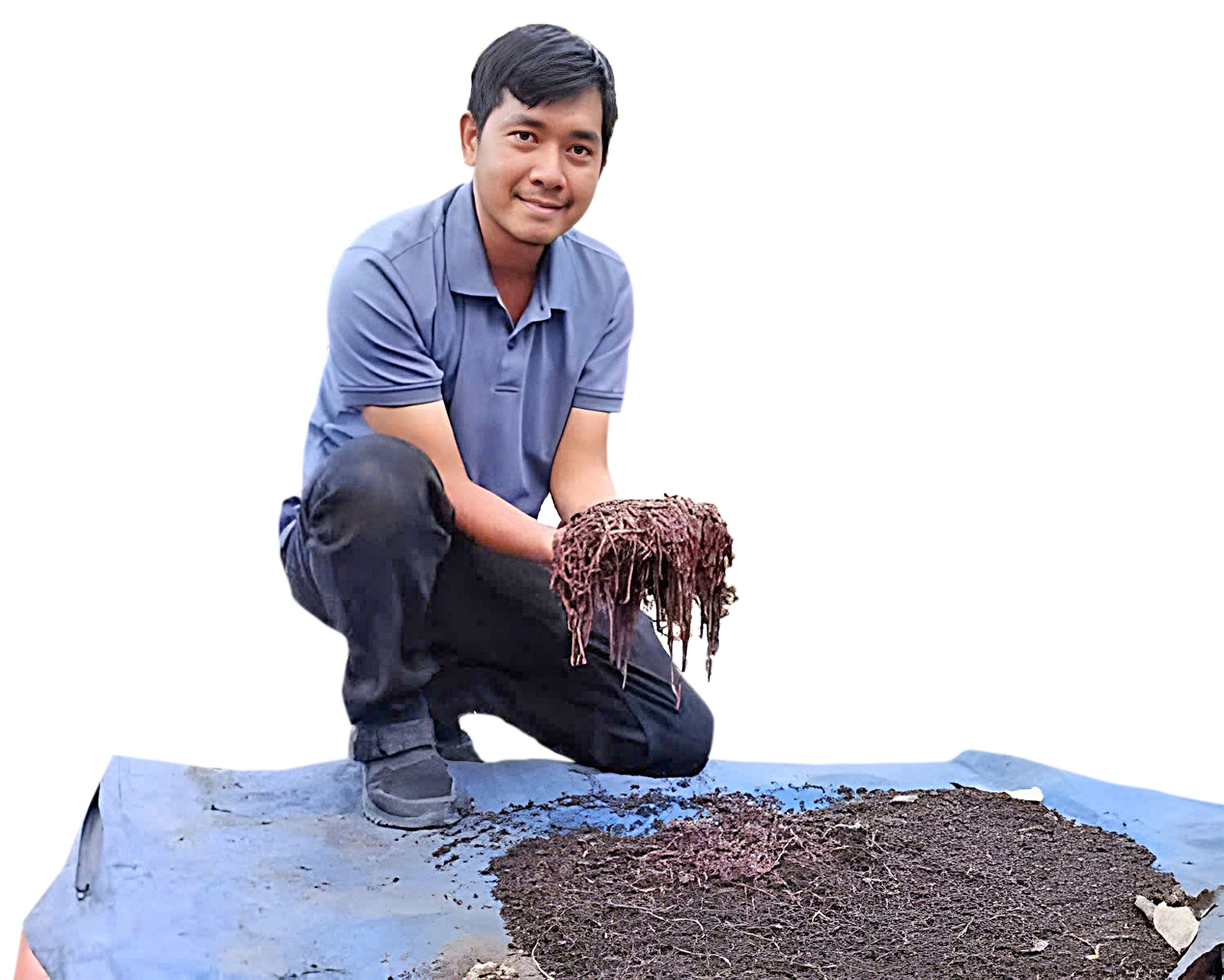 rùn quế - Ảnh 1.