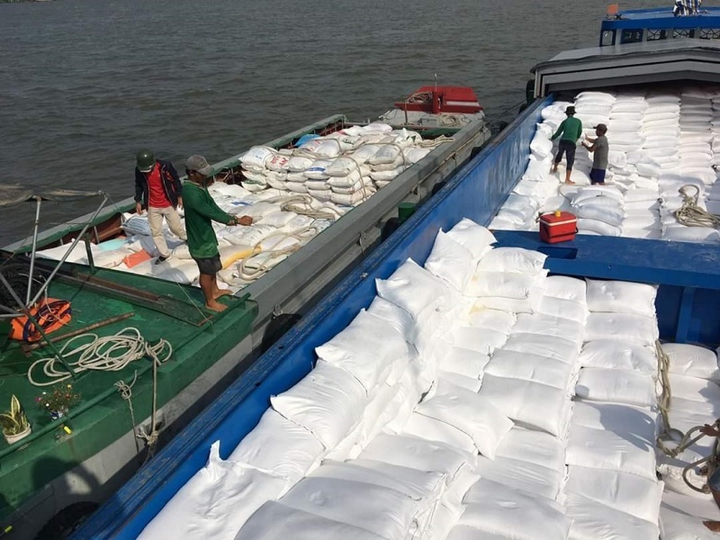 Xuất khẩu gạo trầm lắng, Hiệp hội Lương thực kêu gọi doanh nghiệp bình tĩnh - 1