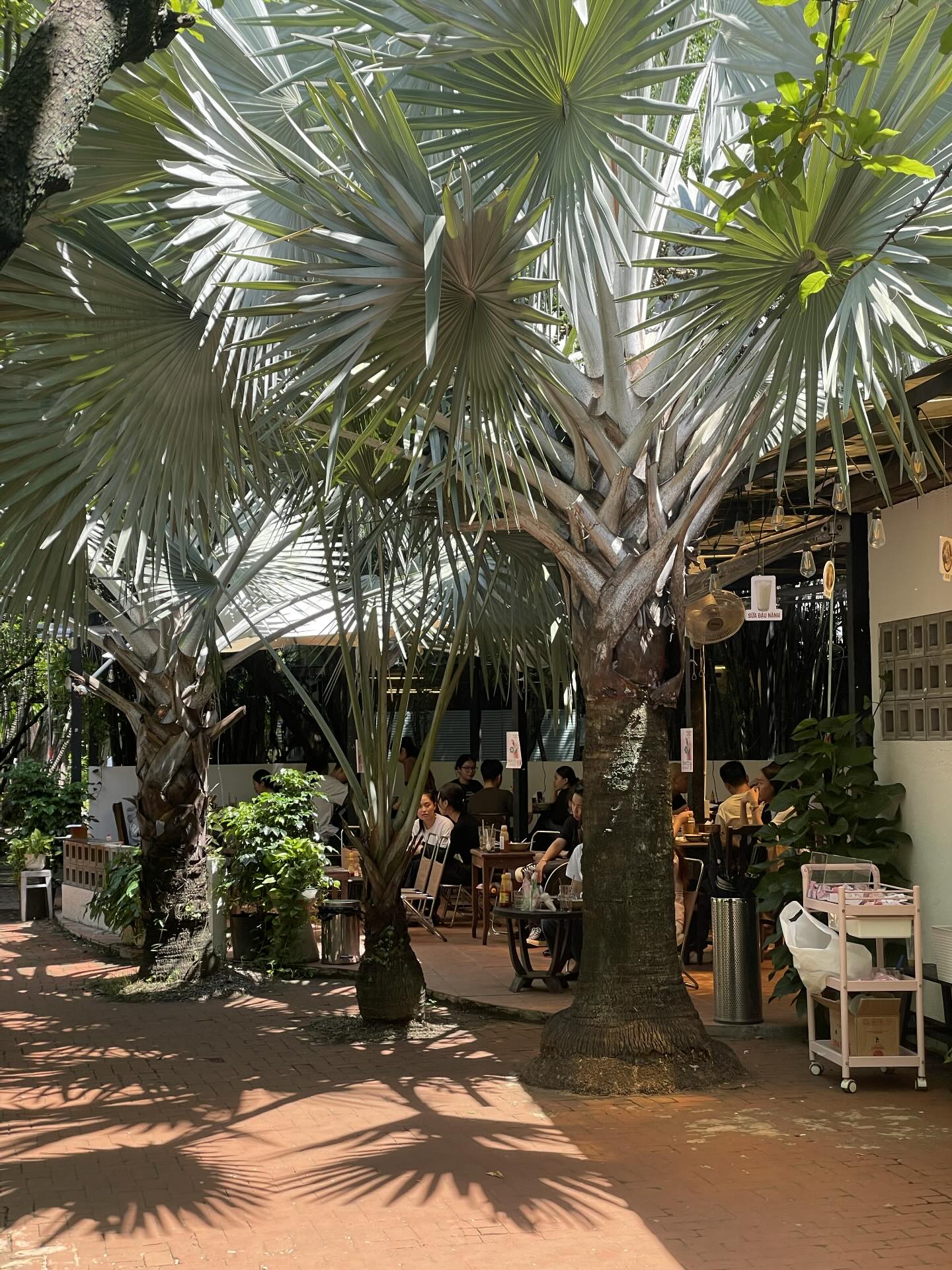 1.000 người chen chúc trong 