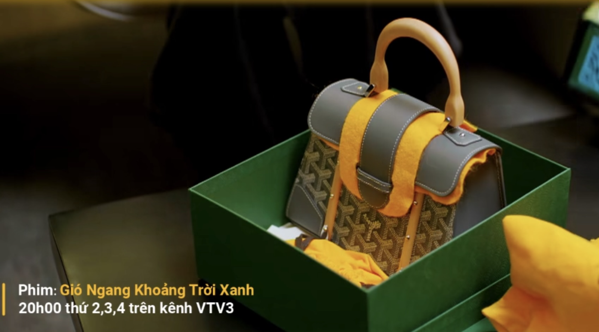 12 chiếc túi hiệu của Phương Oanh- Ảnh 5.