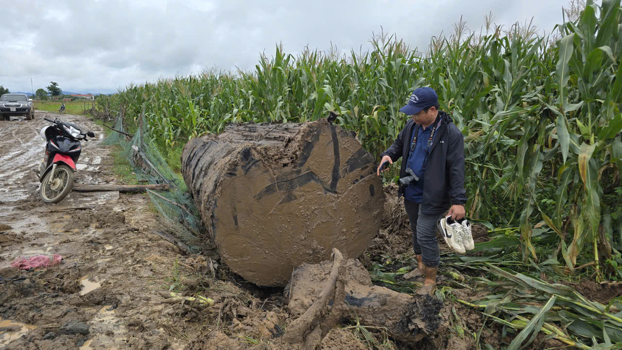 Phá bờ sông Ayun khai thác gỗ lạ gây xôn xao địa phương Gia Lai - Ảnh 3.