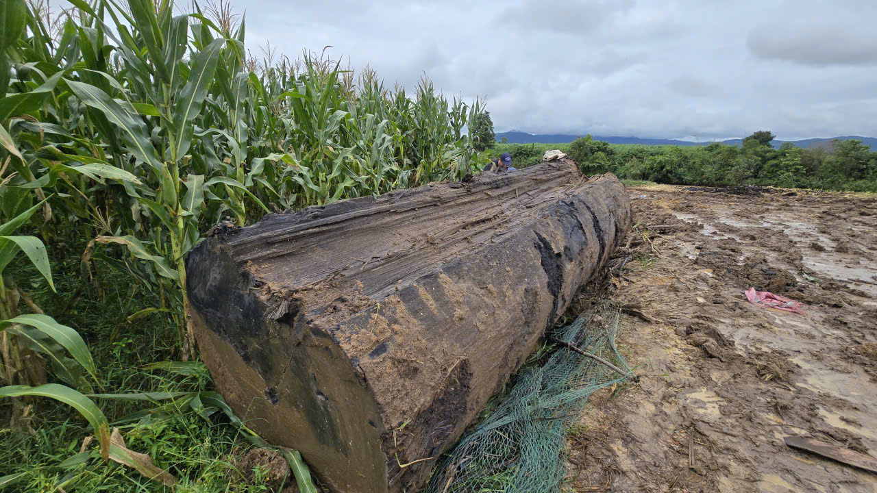 Phá bờ sông Ayun khai thác gỗ lạ gây xôn xao địa phương Gia Lai - Ảnh 4.