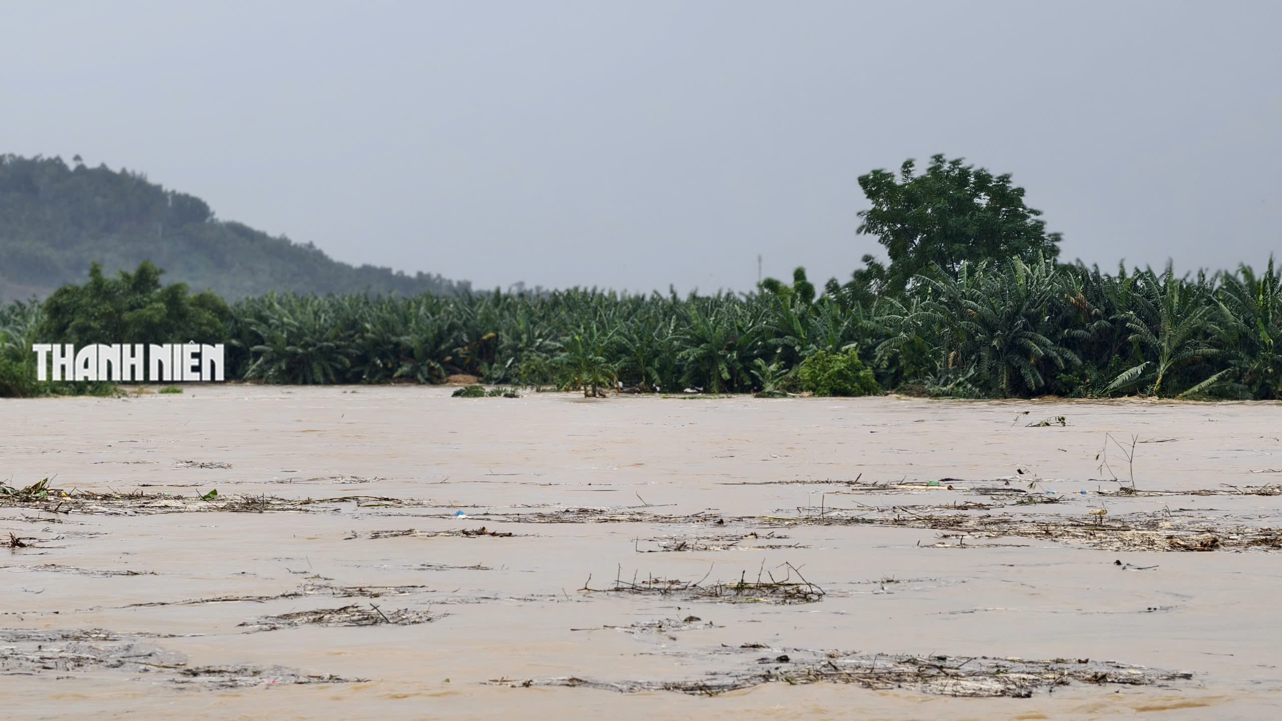 Nước lũ bao vây nhiều khu dân cư ở Quảng Ngãi- Ảnh 17.