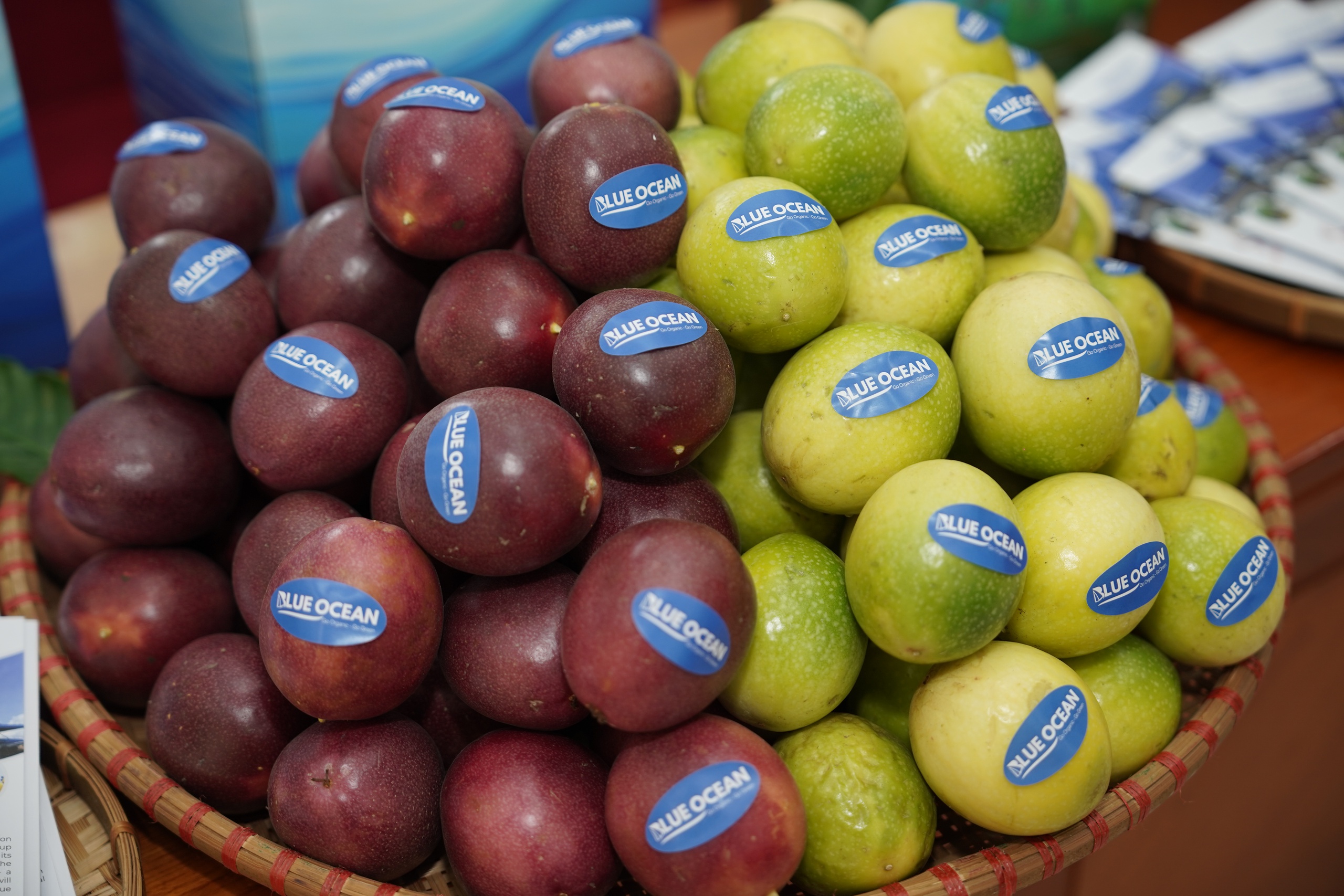 VN - Úc tăng cường nhập khẩu trái cây lẫn nhau- Ảnh 2.