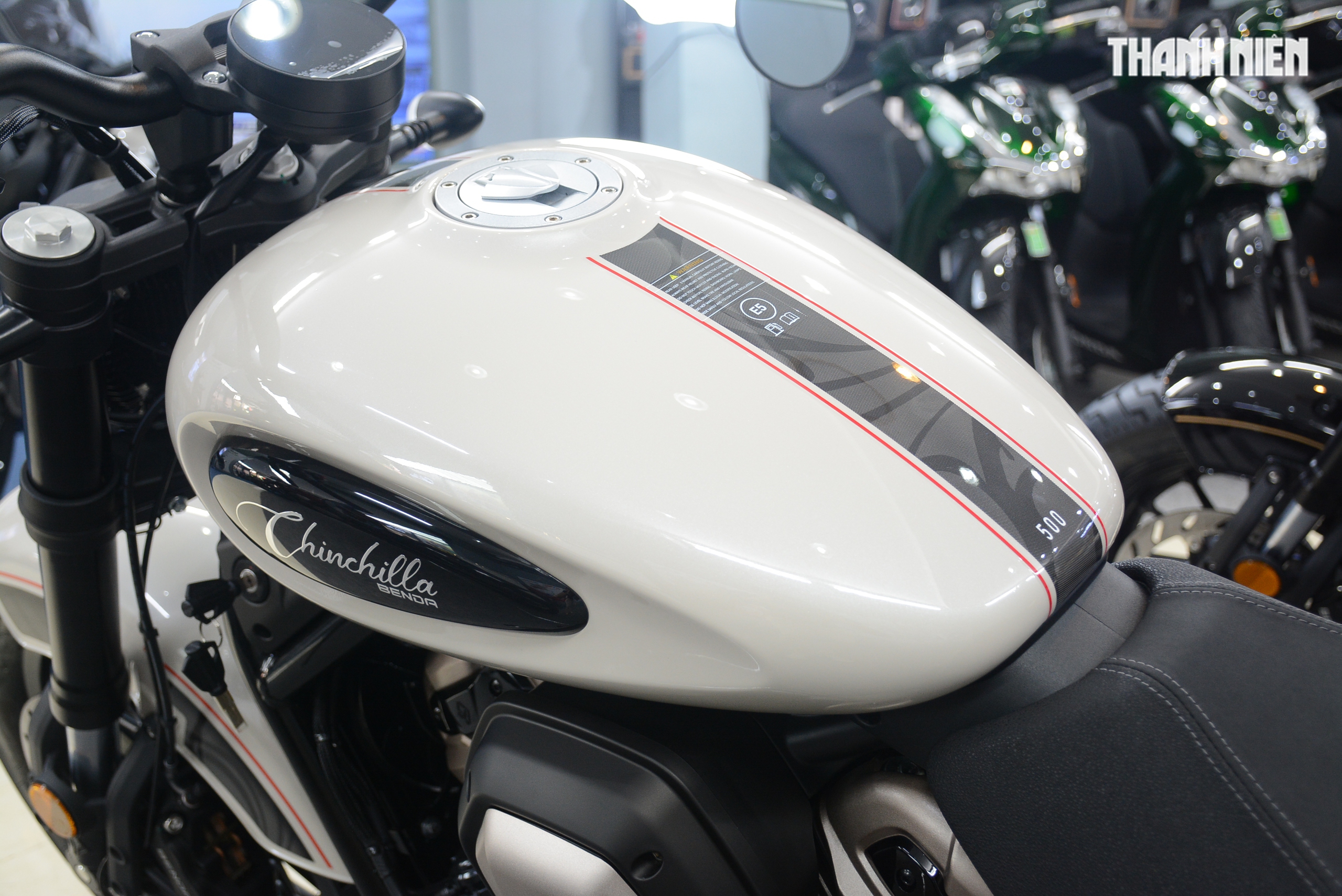 'Xế nổ' hầm hố Benda Chinchilla 500 đầu tiên về Việt Nam, cạnh tranh Honda Rebel 500 - Ảnh 5.