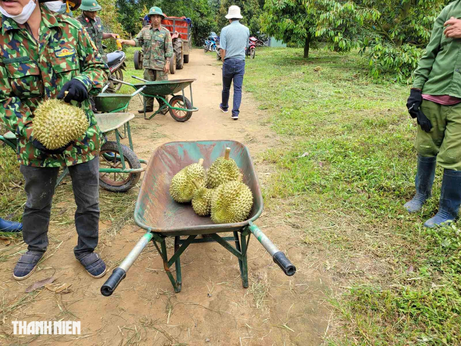 Bầu Đức và HAGL: Hành trình tái cấu trúc thành công trong kinh tế Việt Nam - Ảnh 2.
