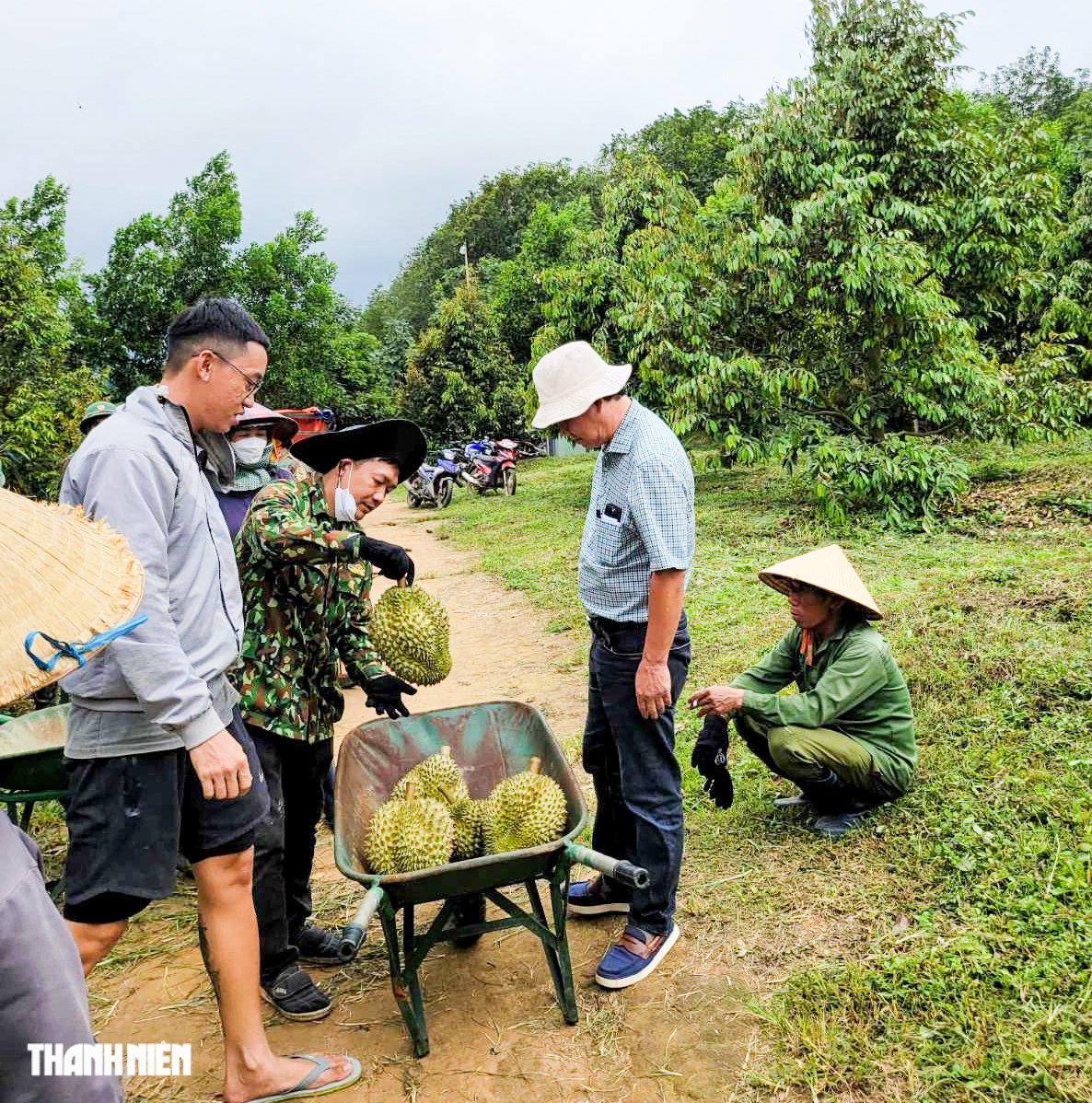 Bầu Đức và HAGL: Hành trình tái cấu trúc thành công trong kinh tế Việt Nam - Ảnh 3.