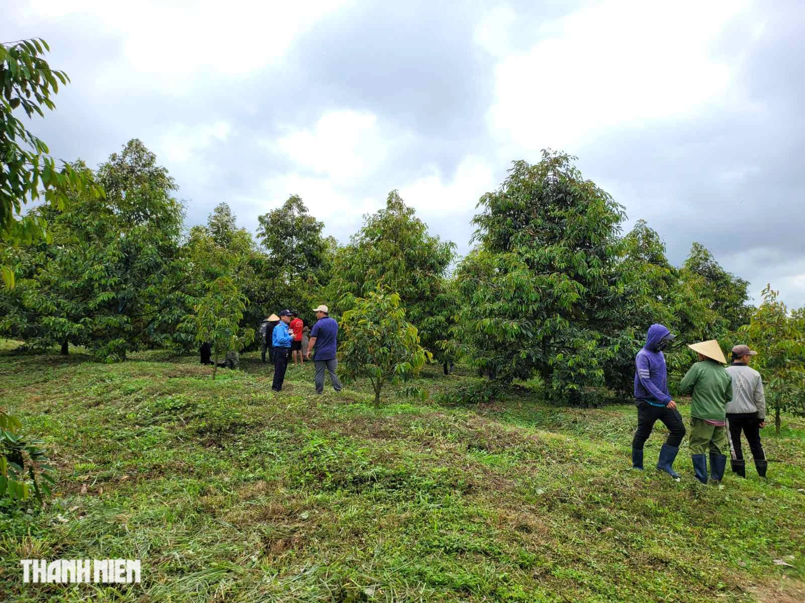 Bầu Đức và HAGL: Hành trình tái cấu trúc thành công trong kinh tế Việt Nam - Ảnh 7.