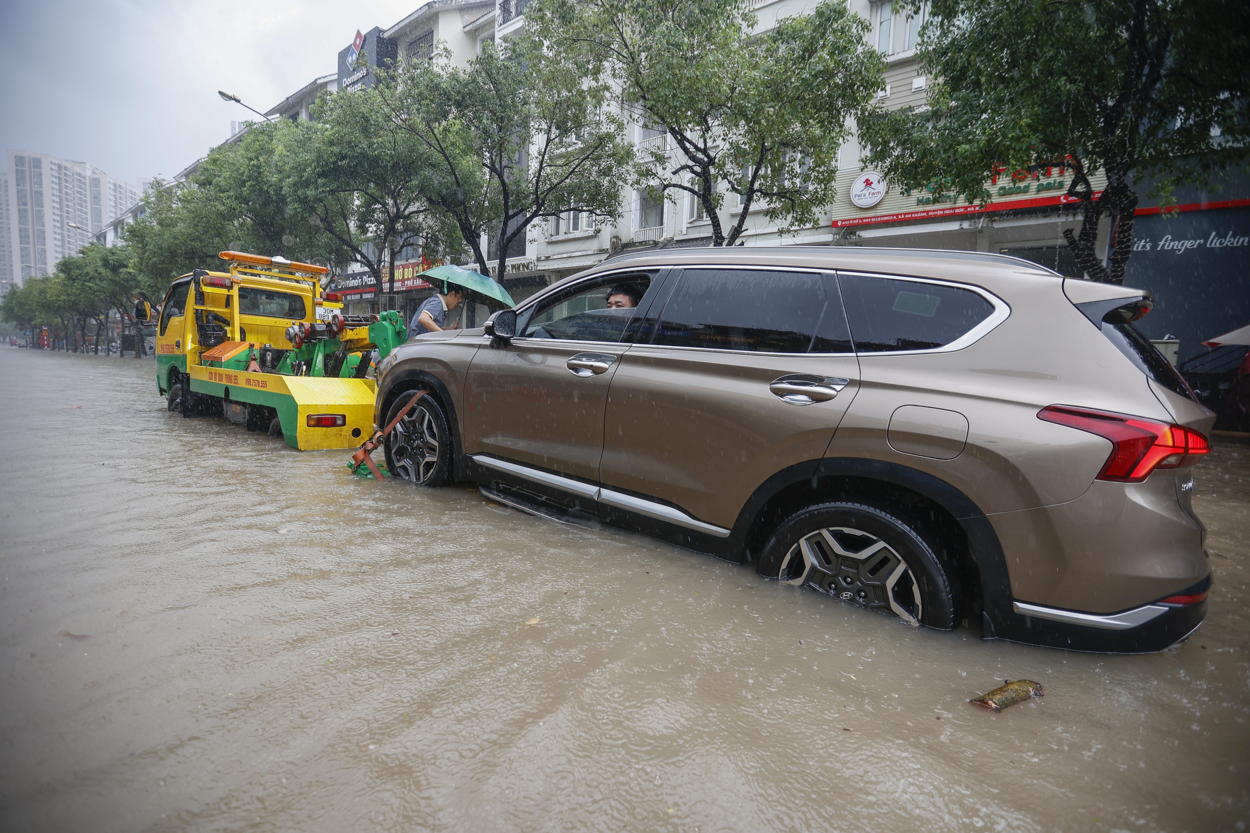 4 việc cần làm ngay để ‘cứu’ ô tô sau mưa bão, ngập lụt - Ảnh 2.