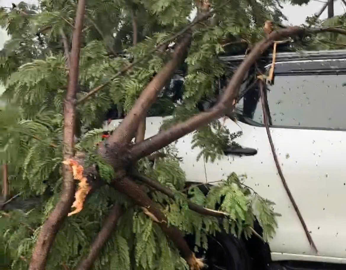 Chịu ảnh hưởng của bão số 10, người dân tìm mọi cách bảo vệ ô tô - Ảnh 3.