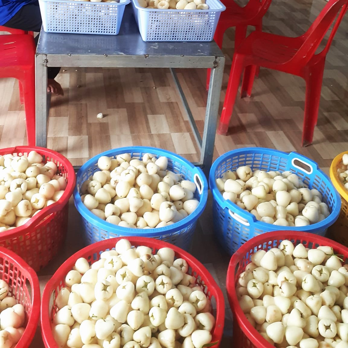 Người phụ nữ đưa mận trắng thành món mứt ‘trứ danh’  miền Tây - Ảnh 4.