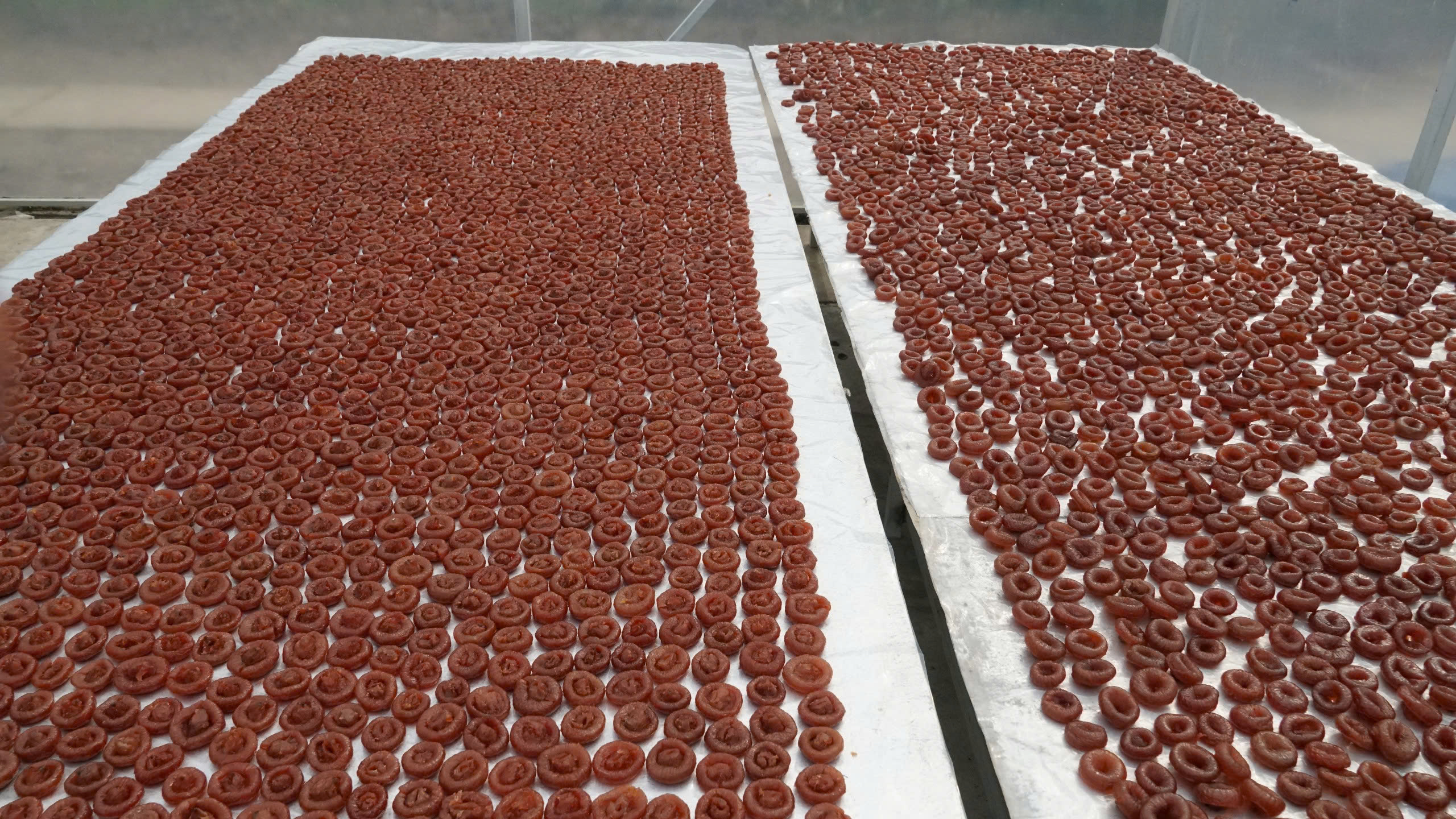 Người phụ nữ đưa mận trắng thành món mứt ‘trứ danh’  miền Tây - Ảnh 5.