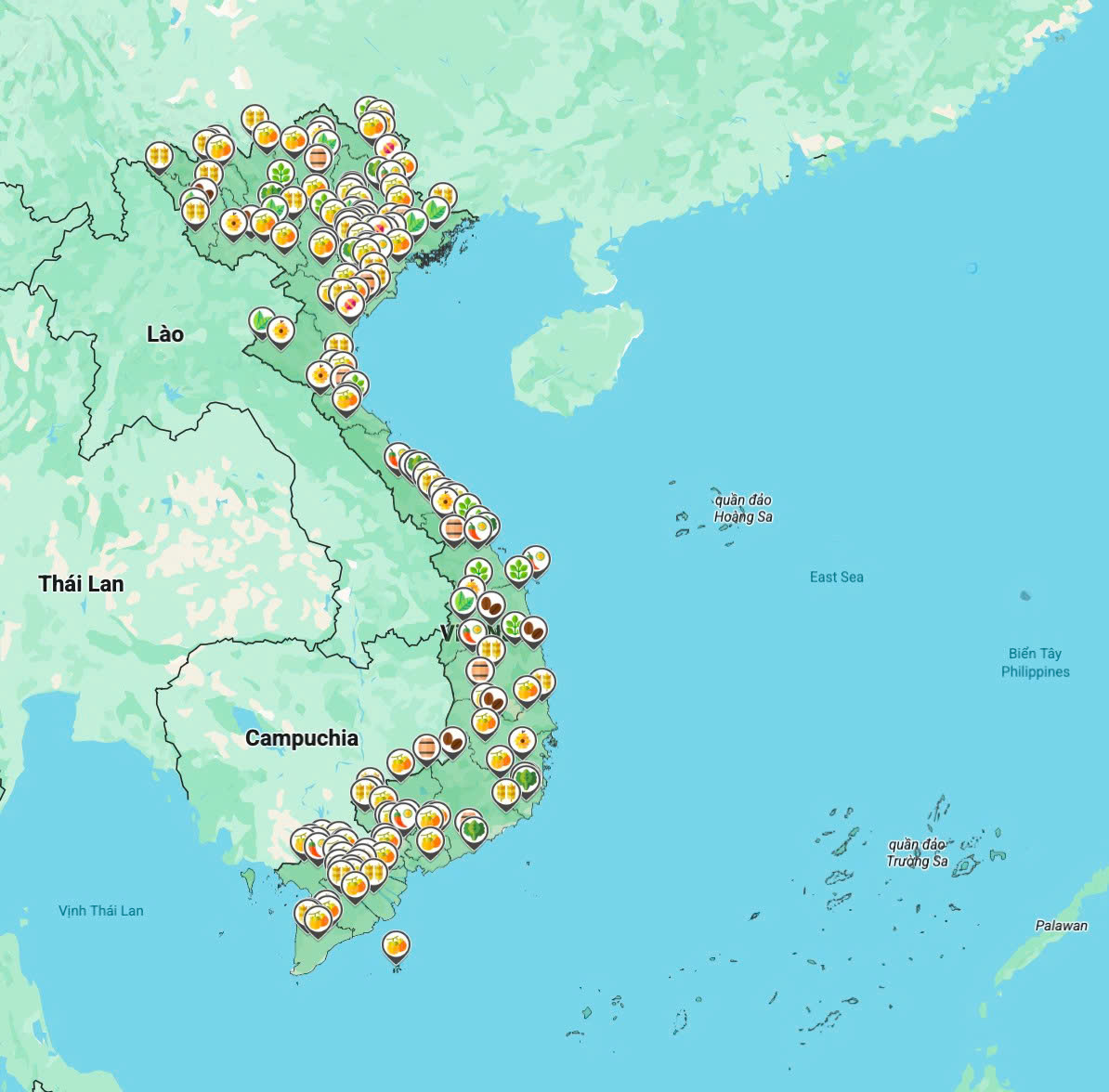 Đưa nông sản Việt lên bản đồ số- Ảnh 2.