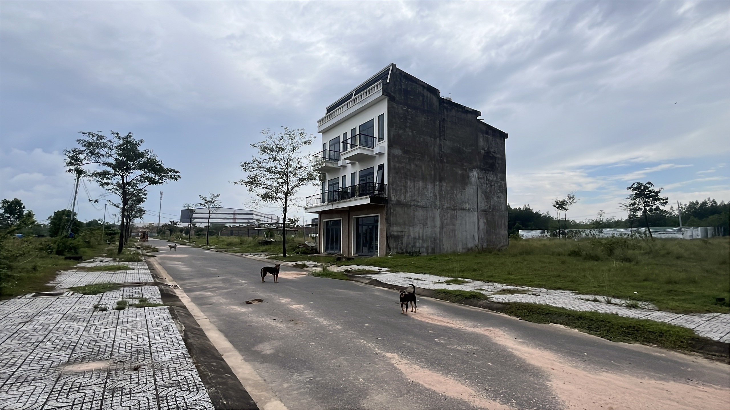 Khu dân cư PNR Estella ở Đồng Nai bị kết luận sai phạm nghiêm trọng - Ảnh 5.