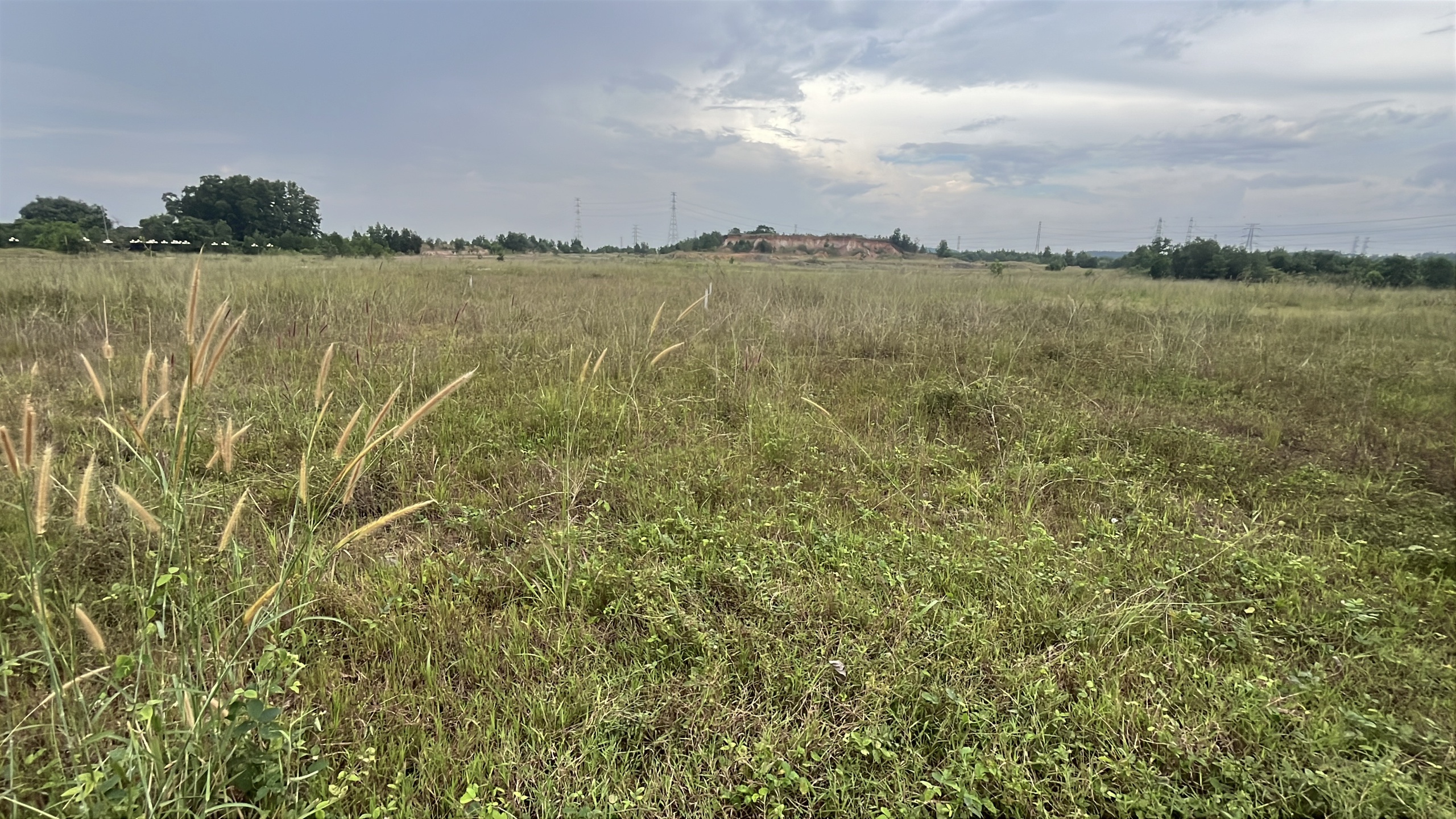 Khu dân cư PNR Estella ở Đồng Nai bị kết luận sai phạm nghiêm trọng - Ảnh 8.