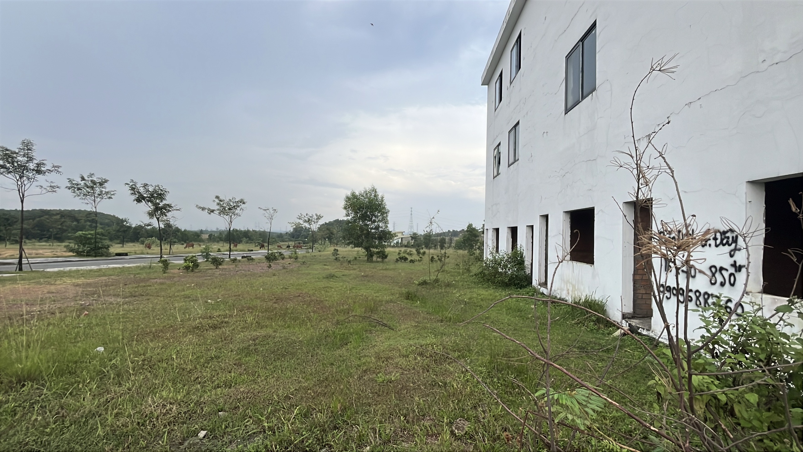 Khu dân cư PNR Estella ở Đồng Nai bị kết luận sai phạm nghiêm trọng - Ảnh 13.