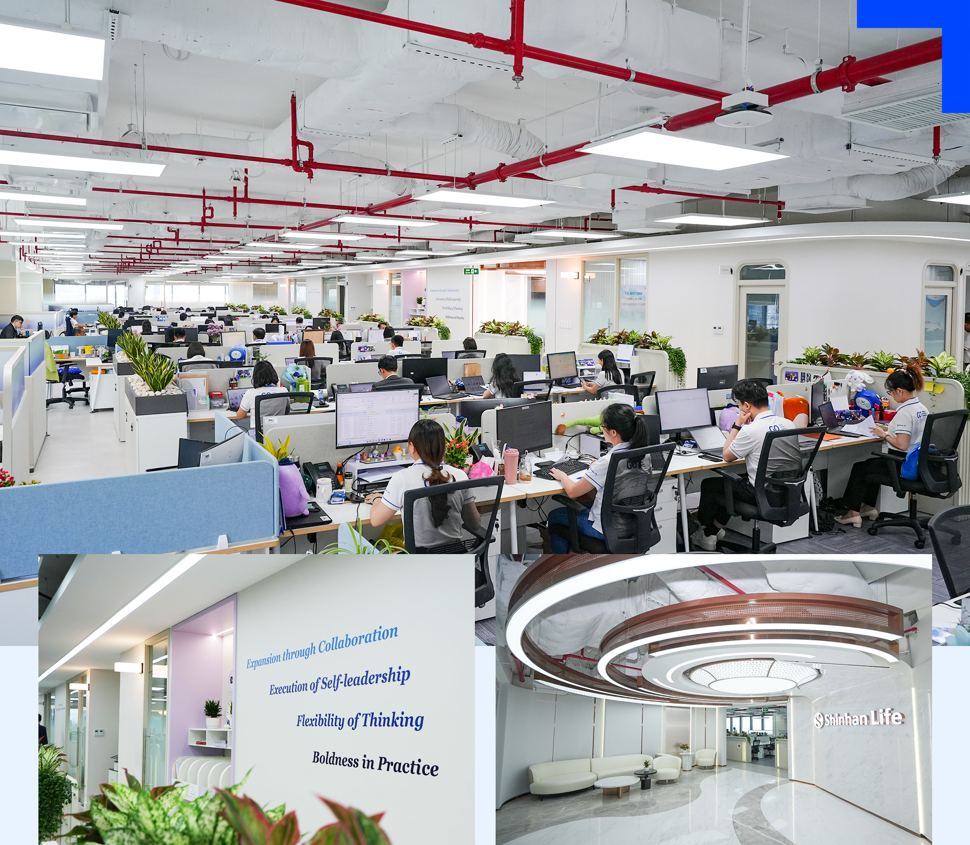 - Ảnh 6. - Ảnh 6.