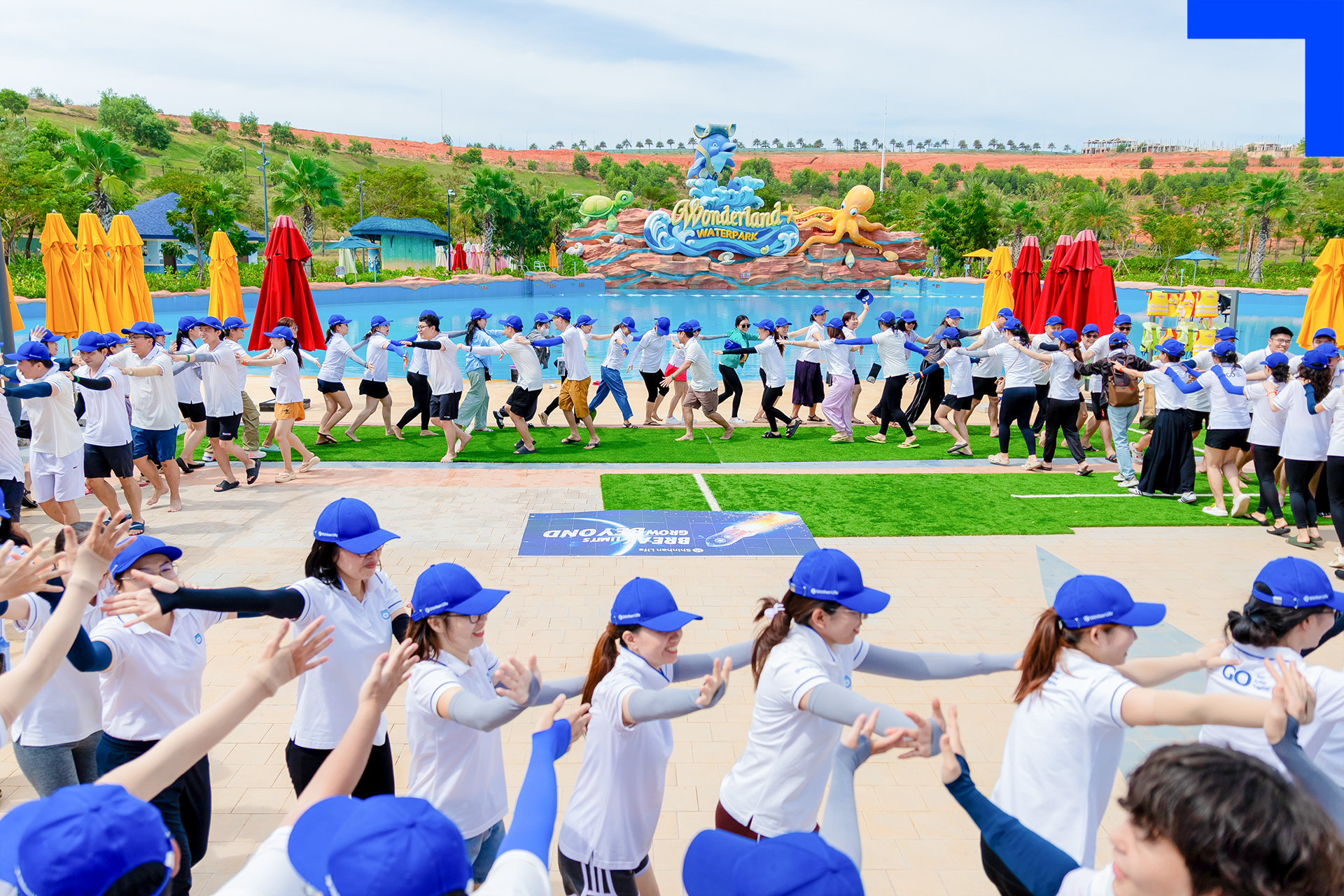 - Ảnh 8. - Ảnh 8.