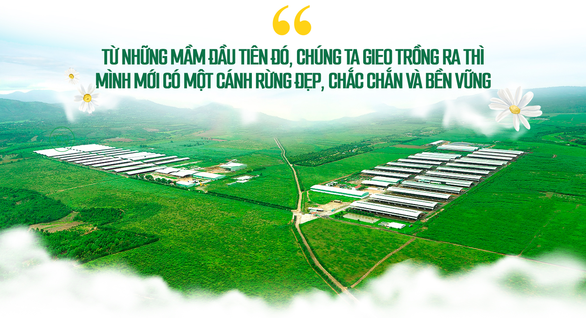 Chiến lược vươn mình của Nutifood trên thị trường Đông Nam Á - Ảnh 5.