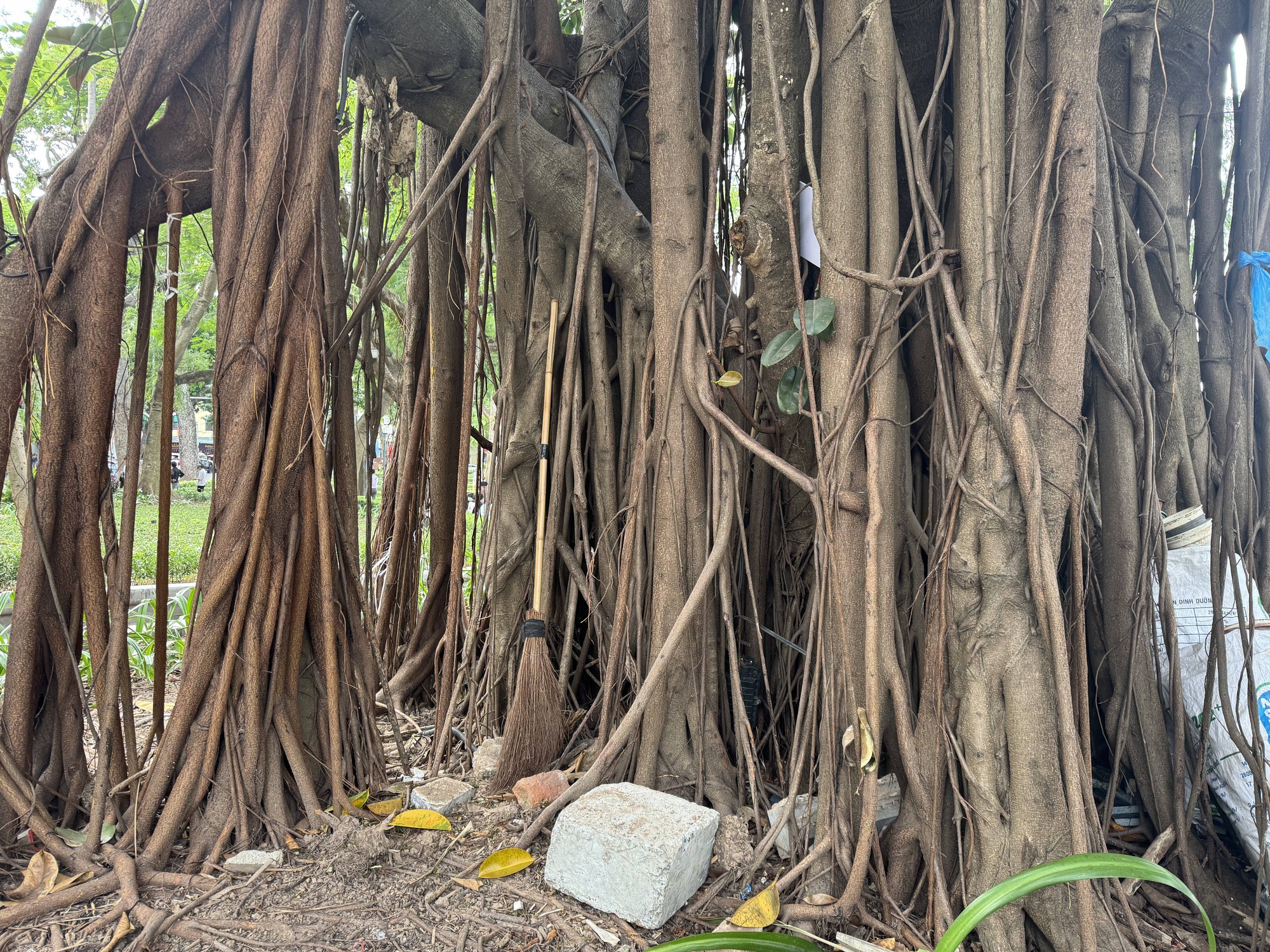 Người dân kể lại điểm lạ vụ cô gái tử vong sau khi lội xuống Hồ Gươm- Ảnh 4.