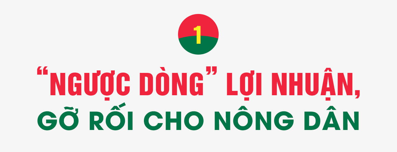 “Ngược dòng” để bứt phá 2 Phân bón Cà Mau: “Ngược dòng” để bứt phá - Ảnh 2.