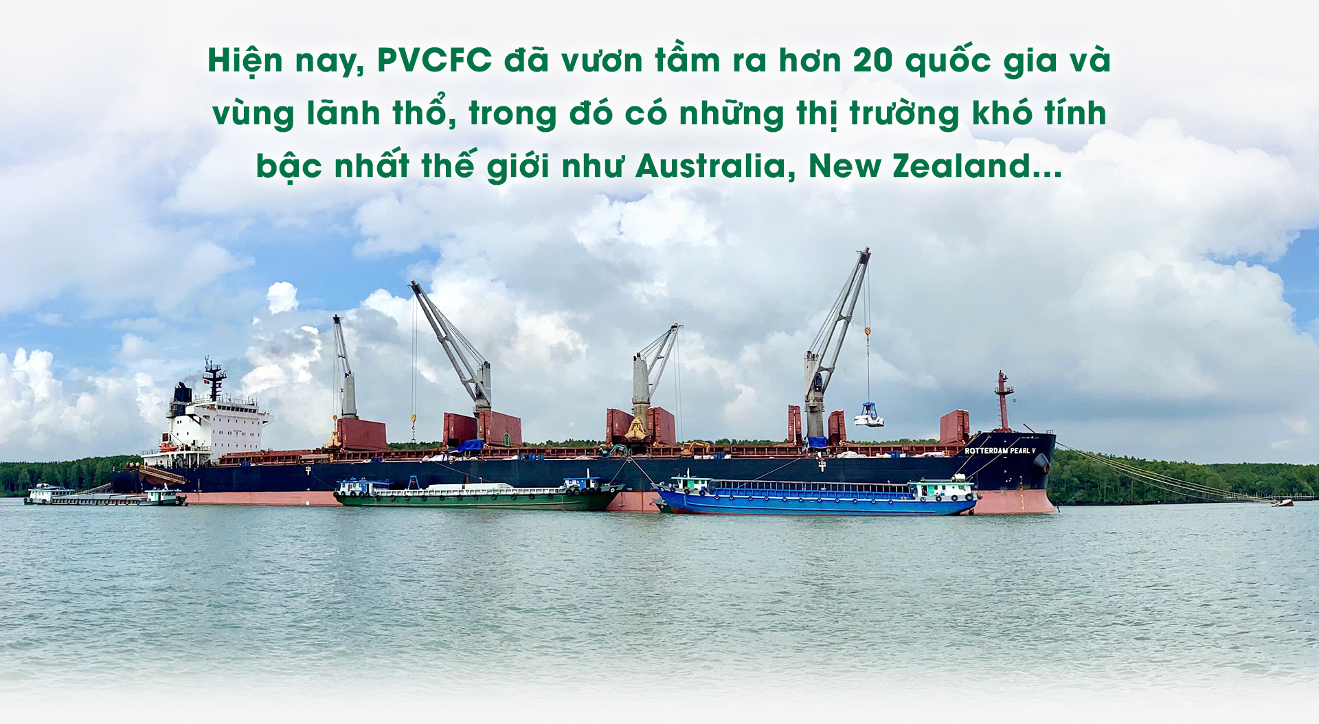 “Ngược dòng” để bứt phá 5 Phân bón Cà Mau: “Ngược dòng” để bứt phá - Ảnh 5.