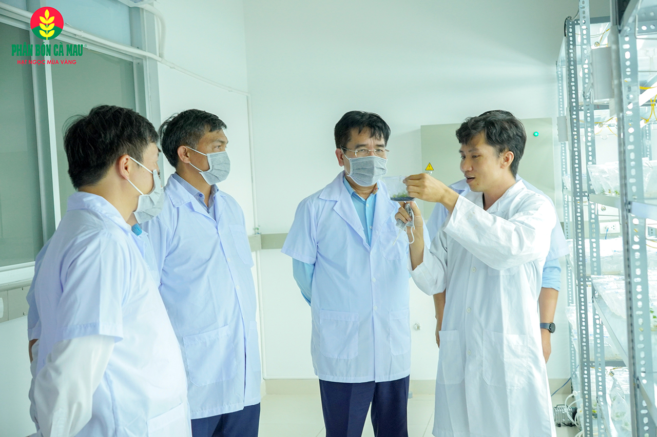 “Ngược dòng” để bứt phá 8 Phân bón Cà Mau: “Ngược dòng” để bứt phá - Ảnh 8.