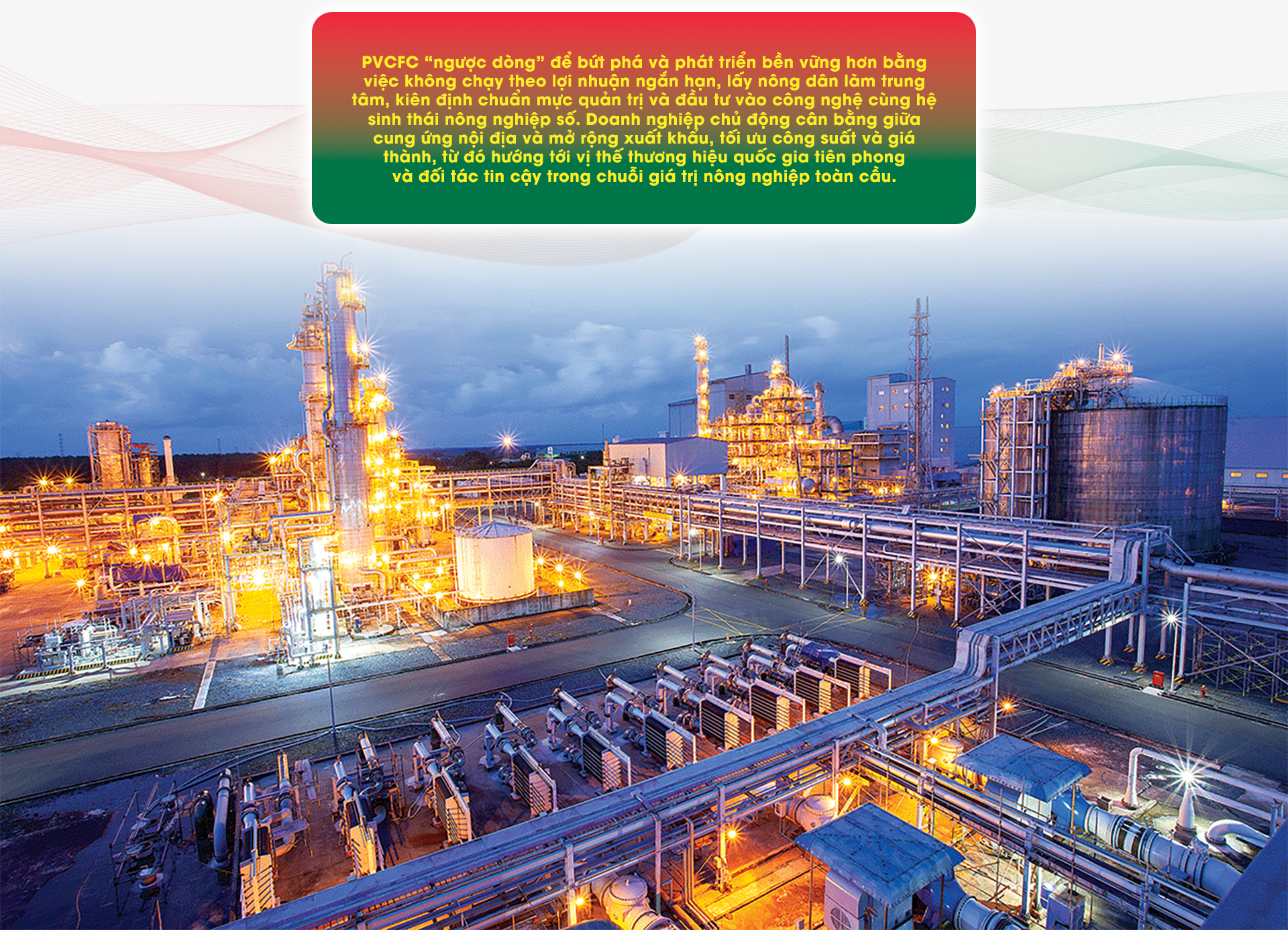 “Ngược dòng” để bứt phá 10 Phân bón Cà Mau: “Ngược dòng” để bứt phá - Ảnh 10.