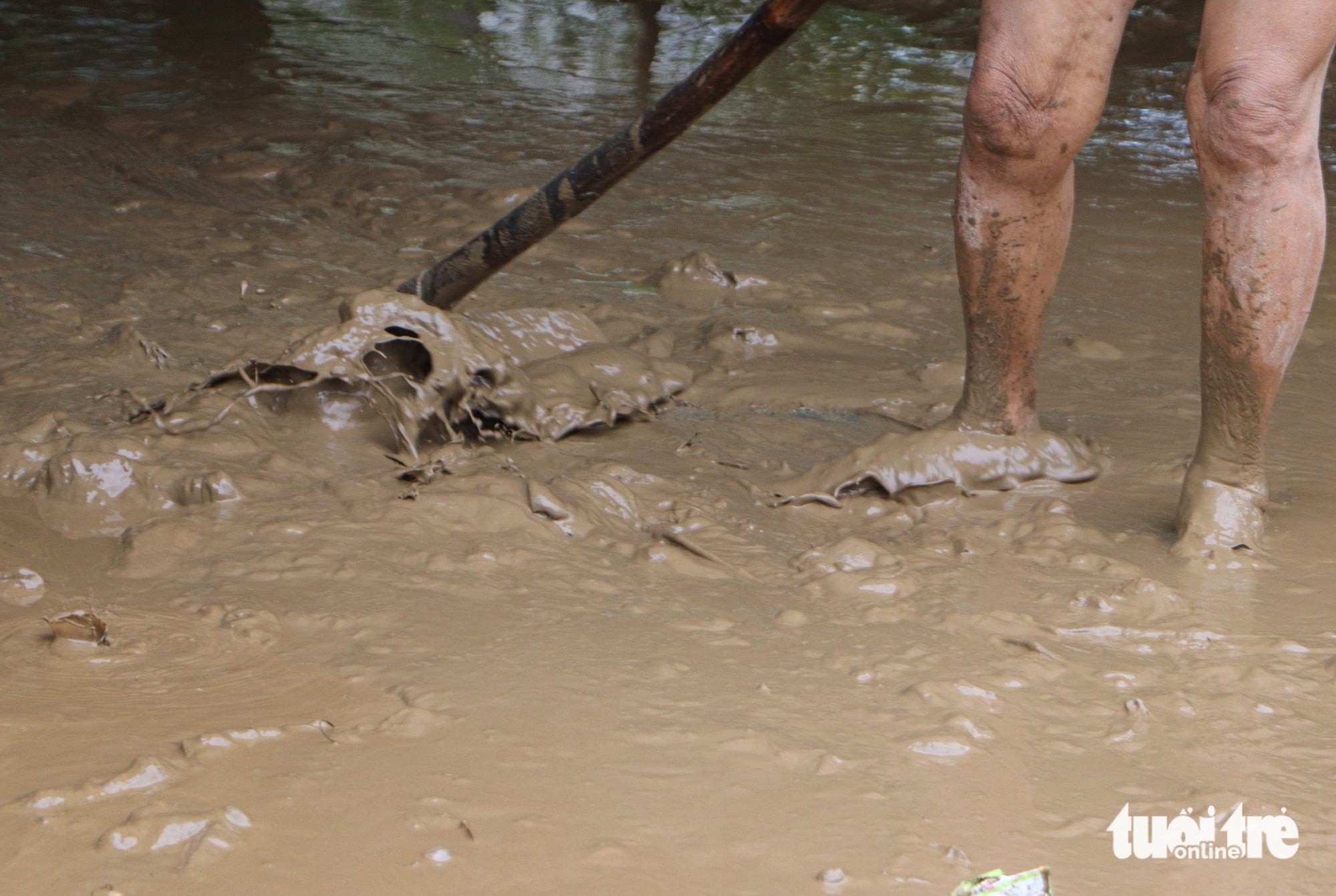 Đà Nẵng - Ảnh 5.