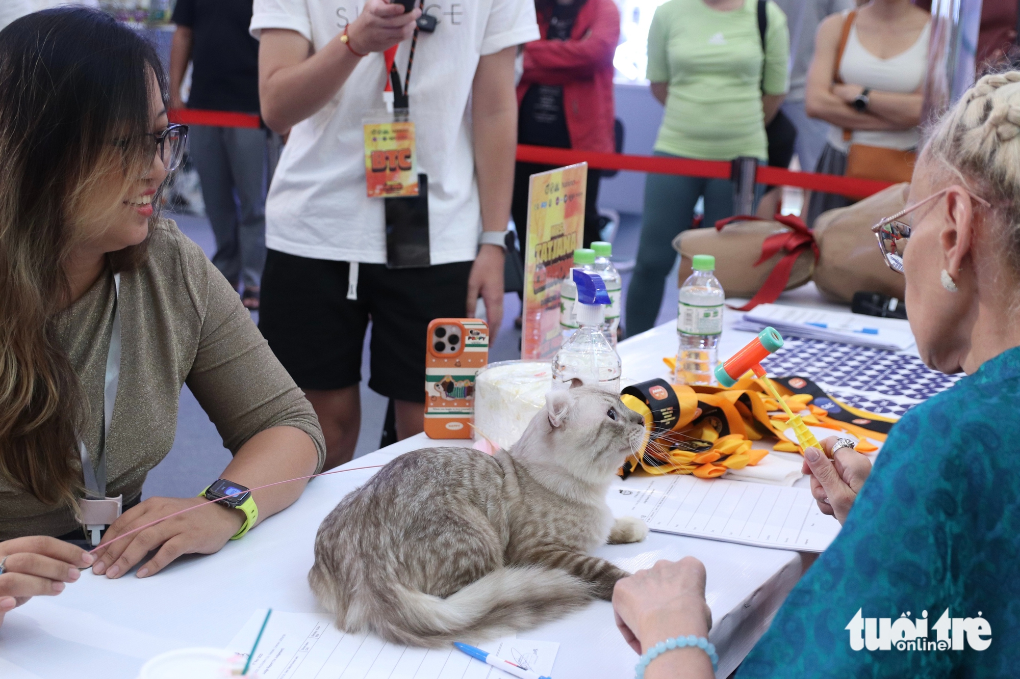 Chú mèo xấu nhất thế giới 'dắt' cả gia đình đến TP.HCM thi Hoa hậu mèo quốc tế Việt Nam 2025 2 mèo - Ảnh 2.