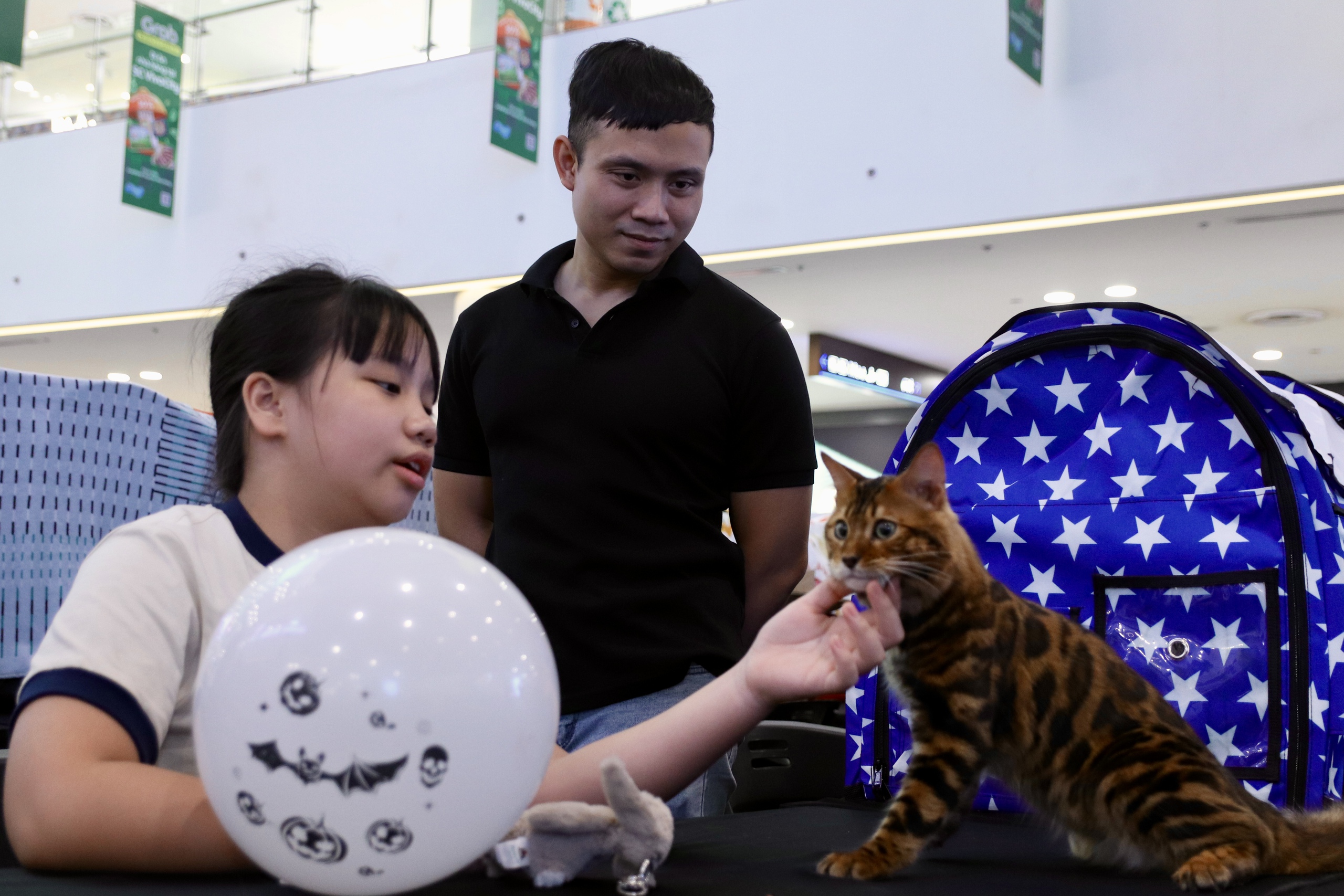 Chú mèo xấu nhất thế giới 'dắt' cả gia đình đến TP.HCM thi Hoa hậu mèo quốc tế Việt Nam 2025 4 mèo - Ảnh 4.