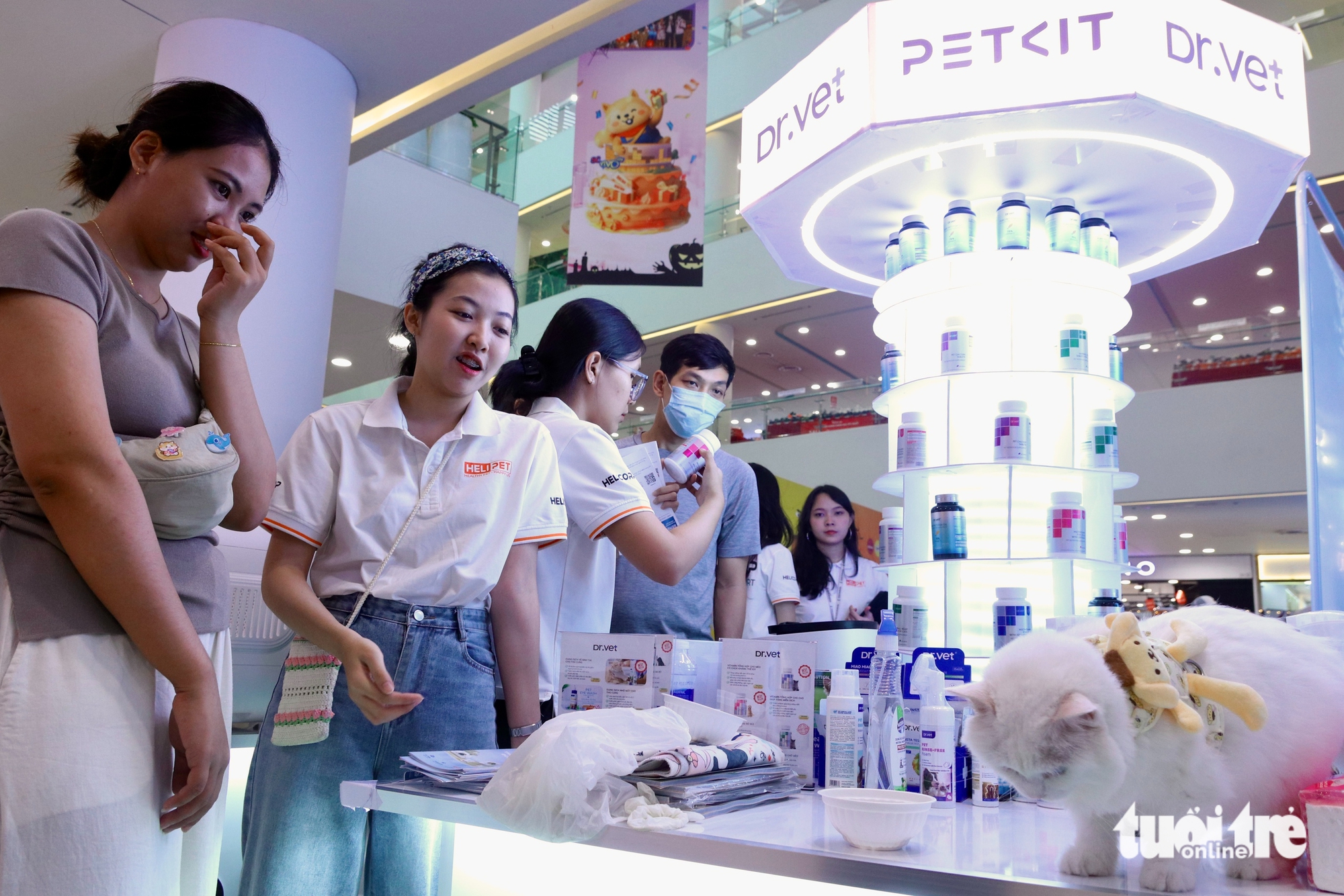 Chú mèo xấu nhất thế giới 'dắt' cả gia đình đến TP.HCM thi Hoa hậu mèo quốc tế Việt Nam 2025 9 mèo - Ảnh 9.