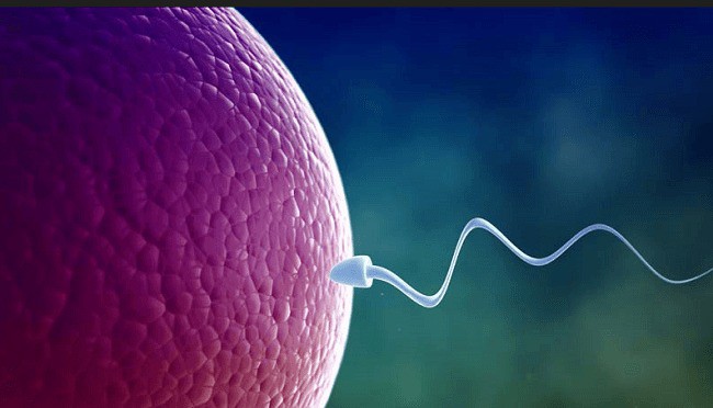 "Tinh binh" thay đổi như thế nào khi nam giới lớn tuổi? - 3