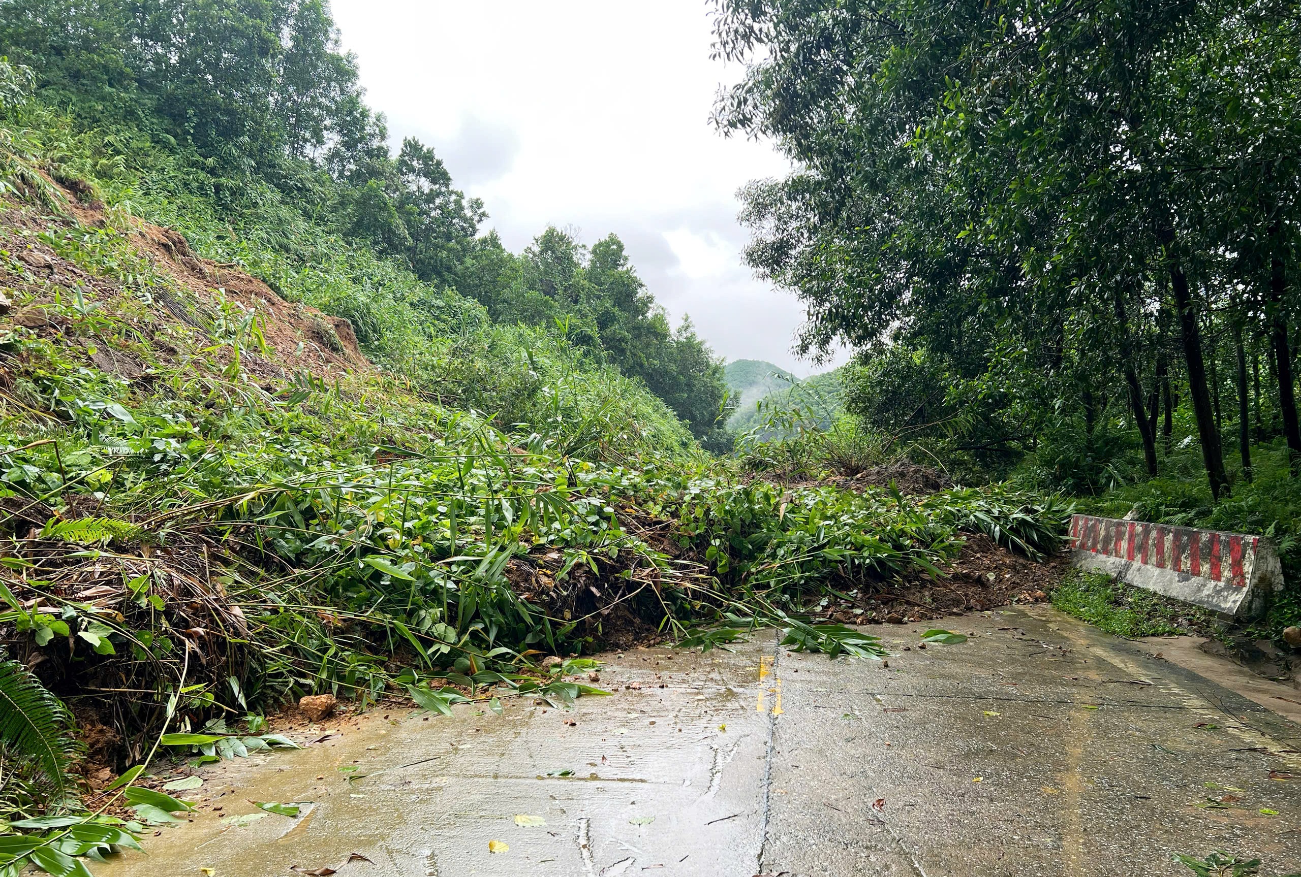 Bờ biển Hội An bị xâm thực sâu gần 30 m, nhiều tuyến giao thông tê liệt - Ảnh 2.