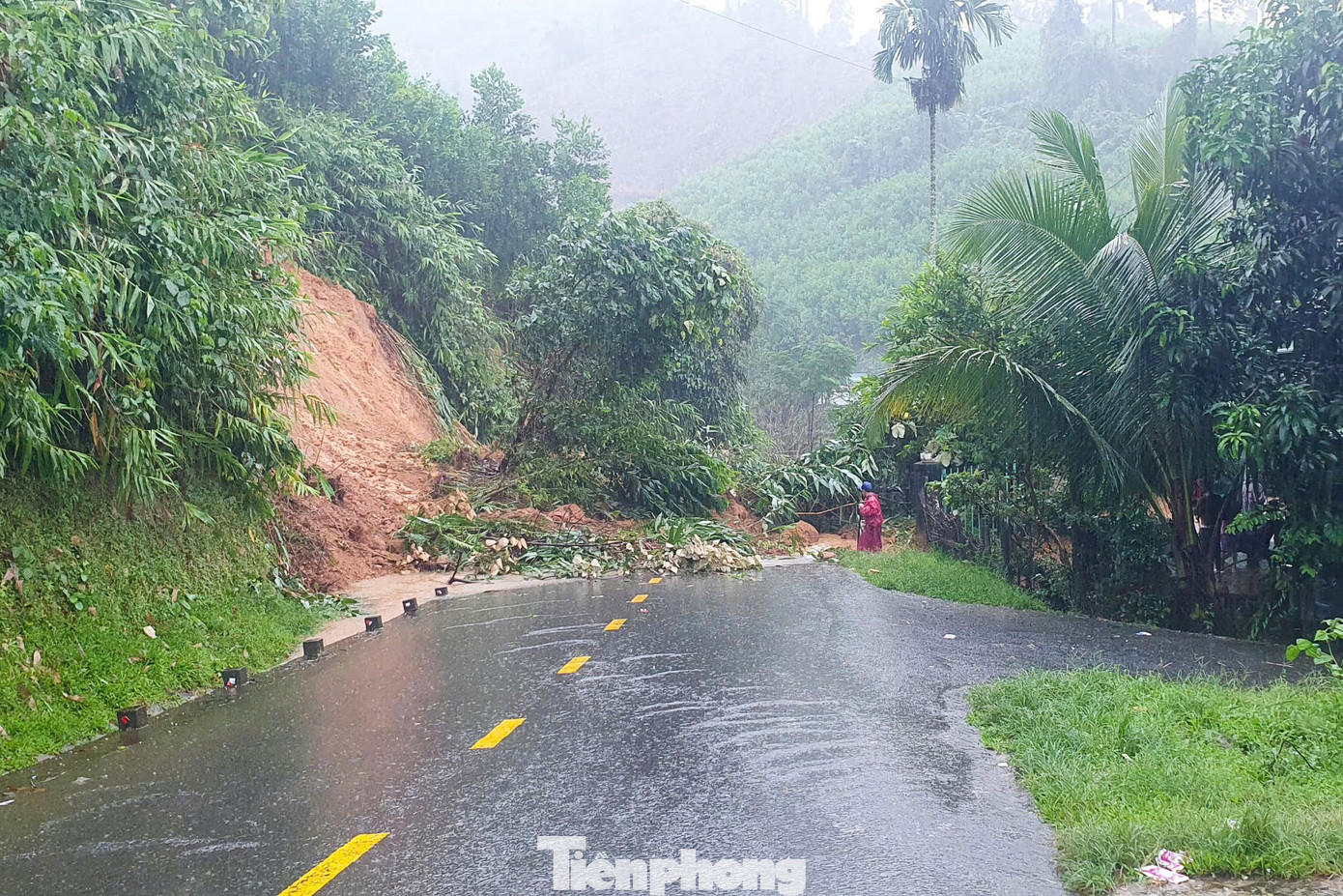 Đà Nẵng mưa to, hàng trăm hộ dân sơ tán, ca nô được 'ship khẩn' đi cứu ngập- Ảnh 2.