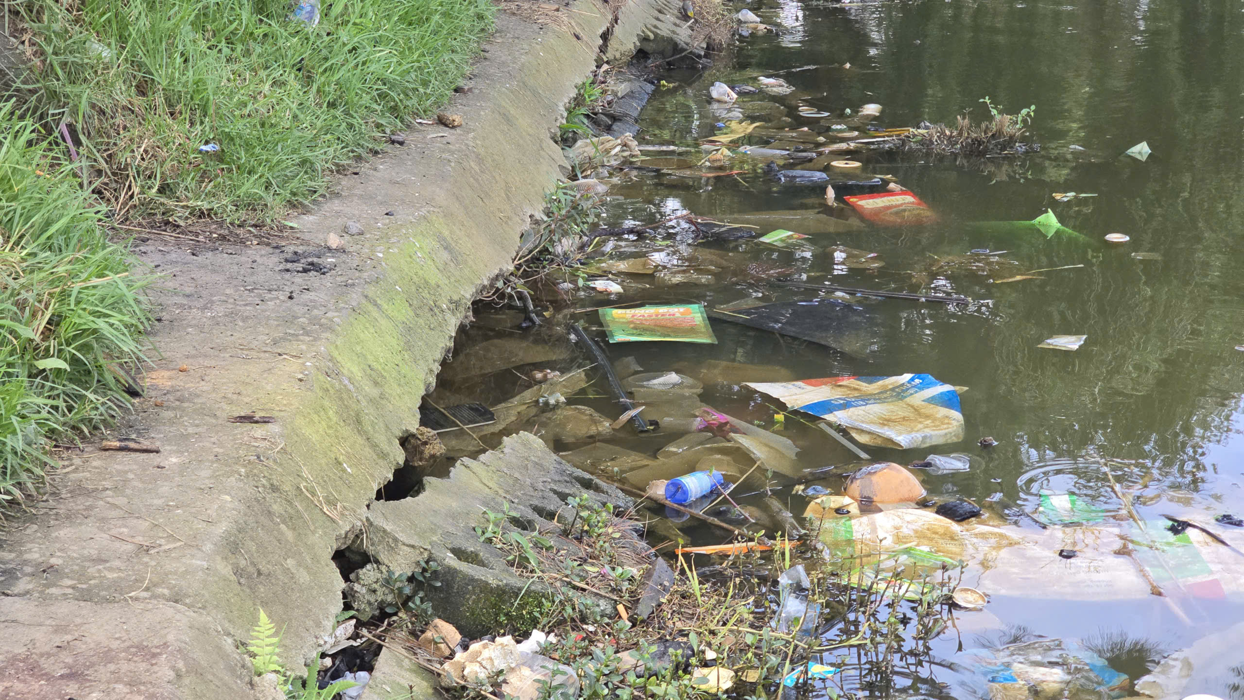 Sạt trượt ta luy, bờ kè quanh thắng cảnh hồ Xuân Hương - Đà Lạt - Ảnh 4. Sạt trượt ta luy, bờ kè quanh thắng cảnh hồ Xuân Hương - Đà Lạt - Ảnh 4.