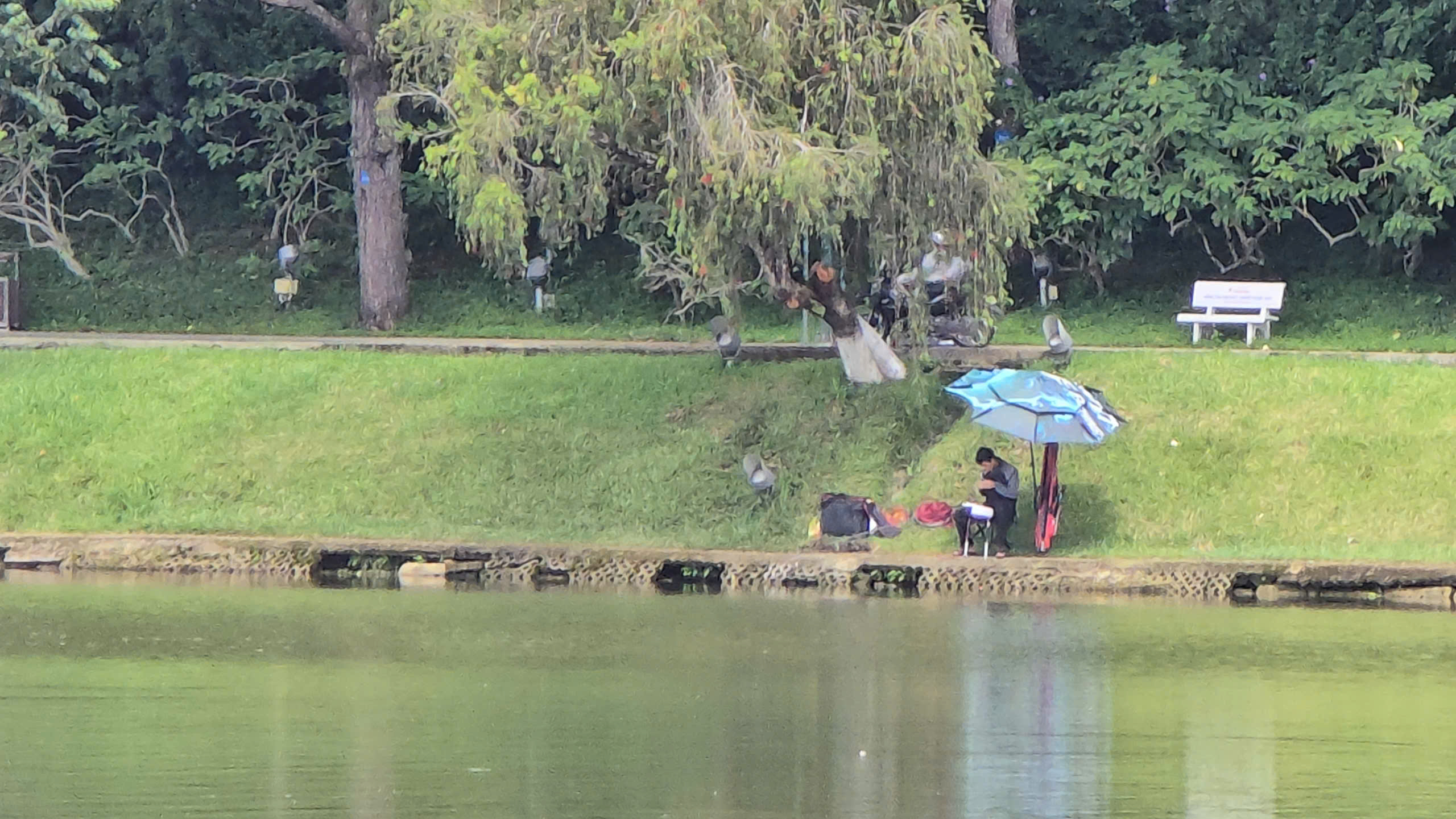 Sạt trượt ta luy, bờ kè quanh thắng cảnh hồ Xuân Hương - Đà Lạt - Ảnh 5. Sạt trượt ta luy, bờ kè quanh thắng cảnh hồ Xuân Hương - Đà Lạt - Ảnh 5.