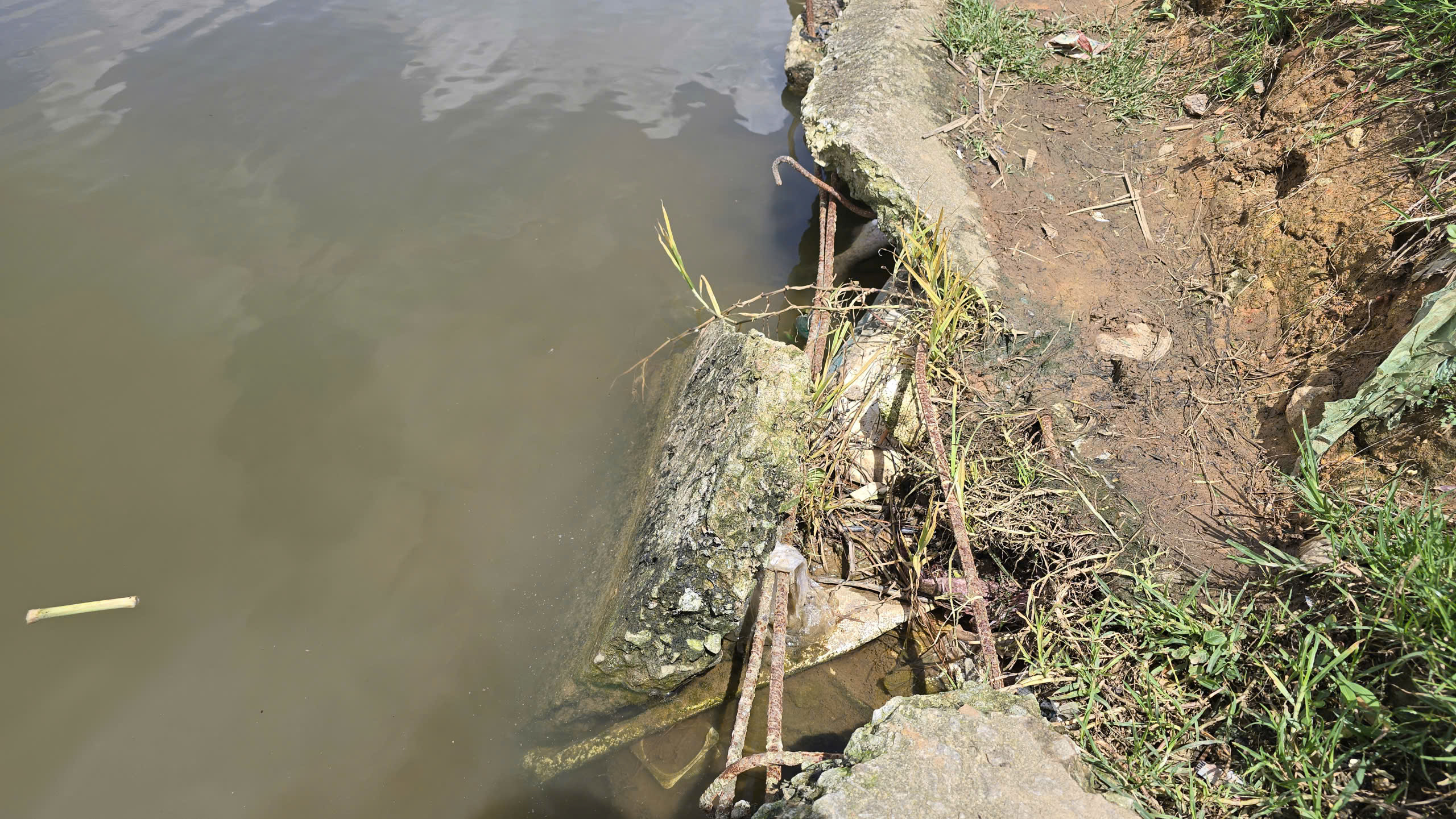 Sạt trượt ta luy, bờ kè quanh thắng cảnh hồ Xuân Hương - Đà Lạt - Ảnh 6. Sạt trượt ta luy, bờ kè quanh thắng cảnh hồ Xuân Hương - Đà Lạt - Ảnh 6.