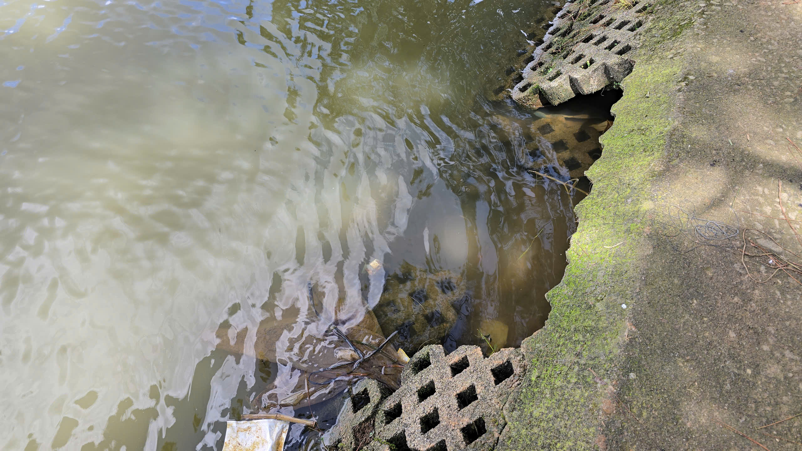 Sạt trượt ta luy, bờ kè quanh thắng cảnh hồ Xuân Hương - Đà Lạt - Ảnh 7. Sạt trượt ta luy, bờ kè quanh thắng cảnh hồ Xuân Hương - Đà Lạt - Ảnh 7.