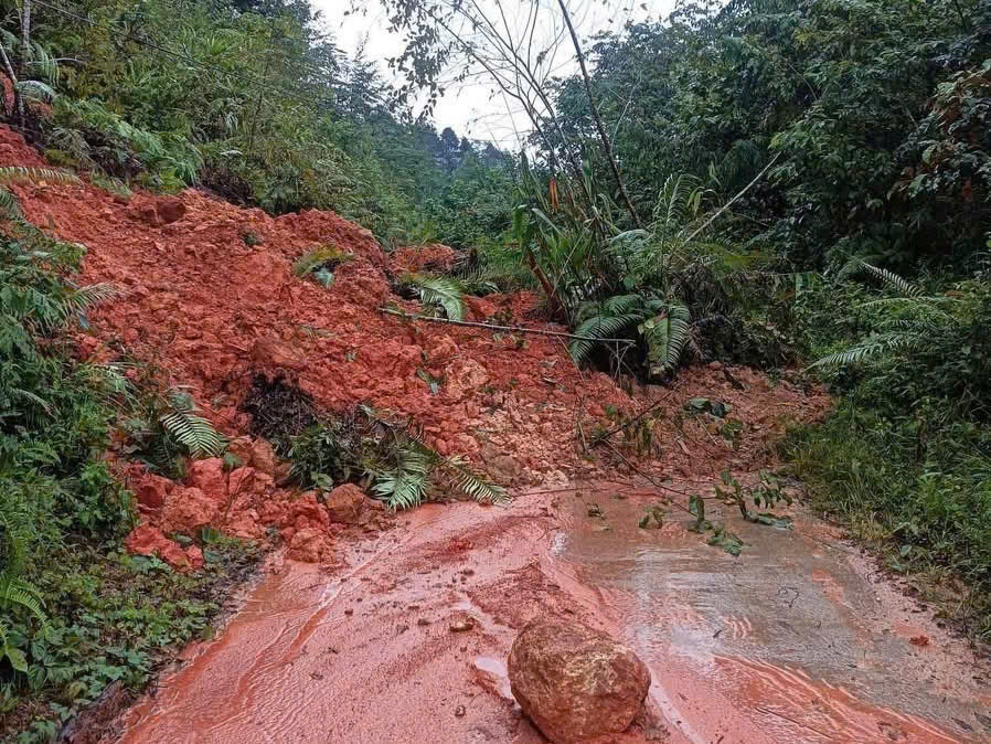 Mưa lớn gây sạt lở, gần 450 hộ dân ở miền núi quảng ngãi bị cô lập - Ảnh 2.