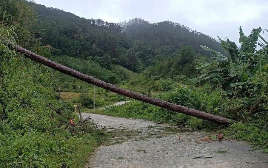 Mưa lớn gây sạt lở, gần 450 hộ dân ở miền núi quảng ngãi bị cô lập - Ảnh 4.