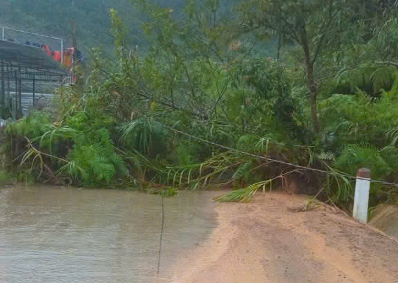 Mưa lớn gây sạt lở, gần 450 hộ dân ở miền núi quảng ngãi bị cô lập - Ảnh 5.