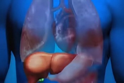 5 dấu hiệu tổn thương gan người huyết áp cao dễ bỏ qua