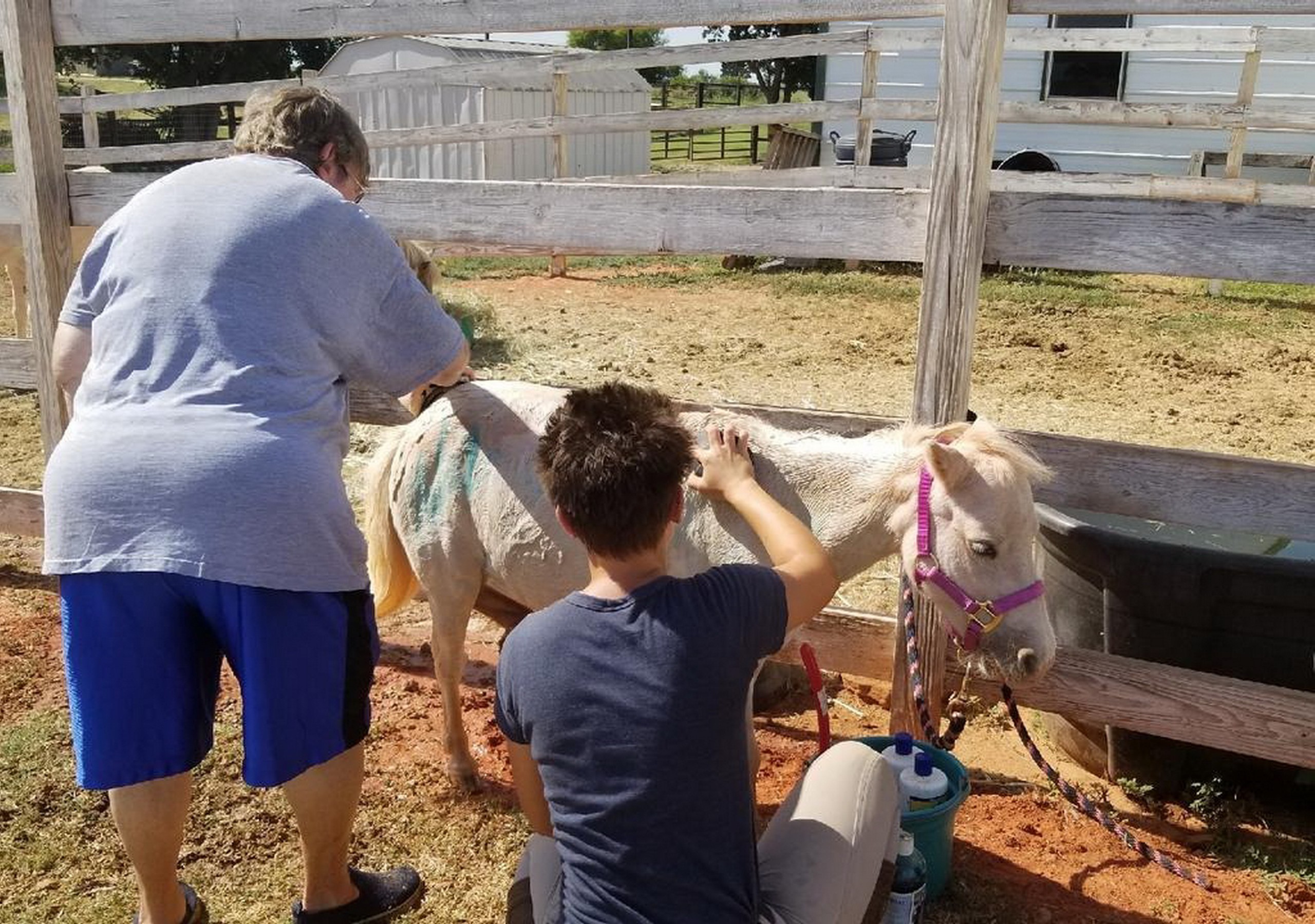 Bùng nổ xu hướng du lịch miễn phí của giới trẻ - Ảnh 4.