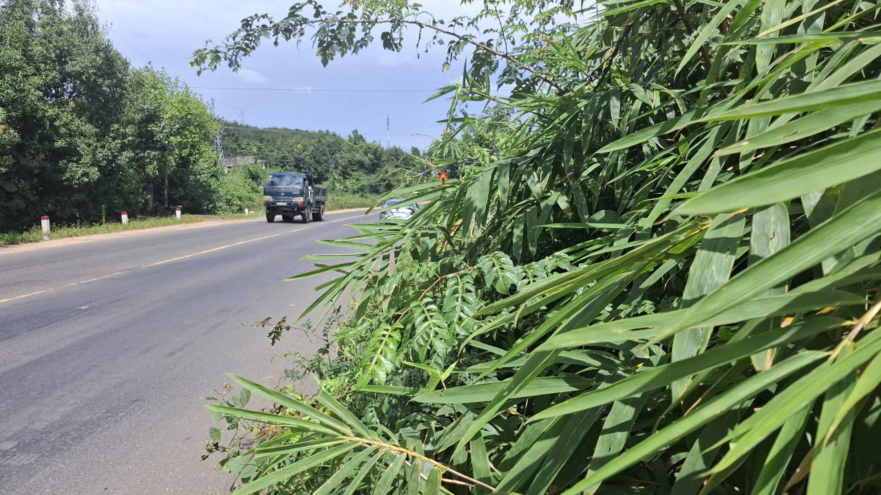 QL14 xuống cấp nghiêm trọng, hàng loạt ‘bẫy tử thần’ rình rập người đi đường - Ảnh 2.